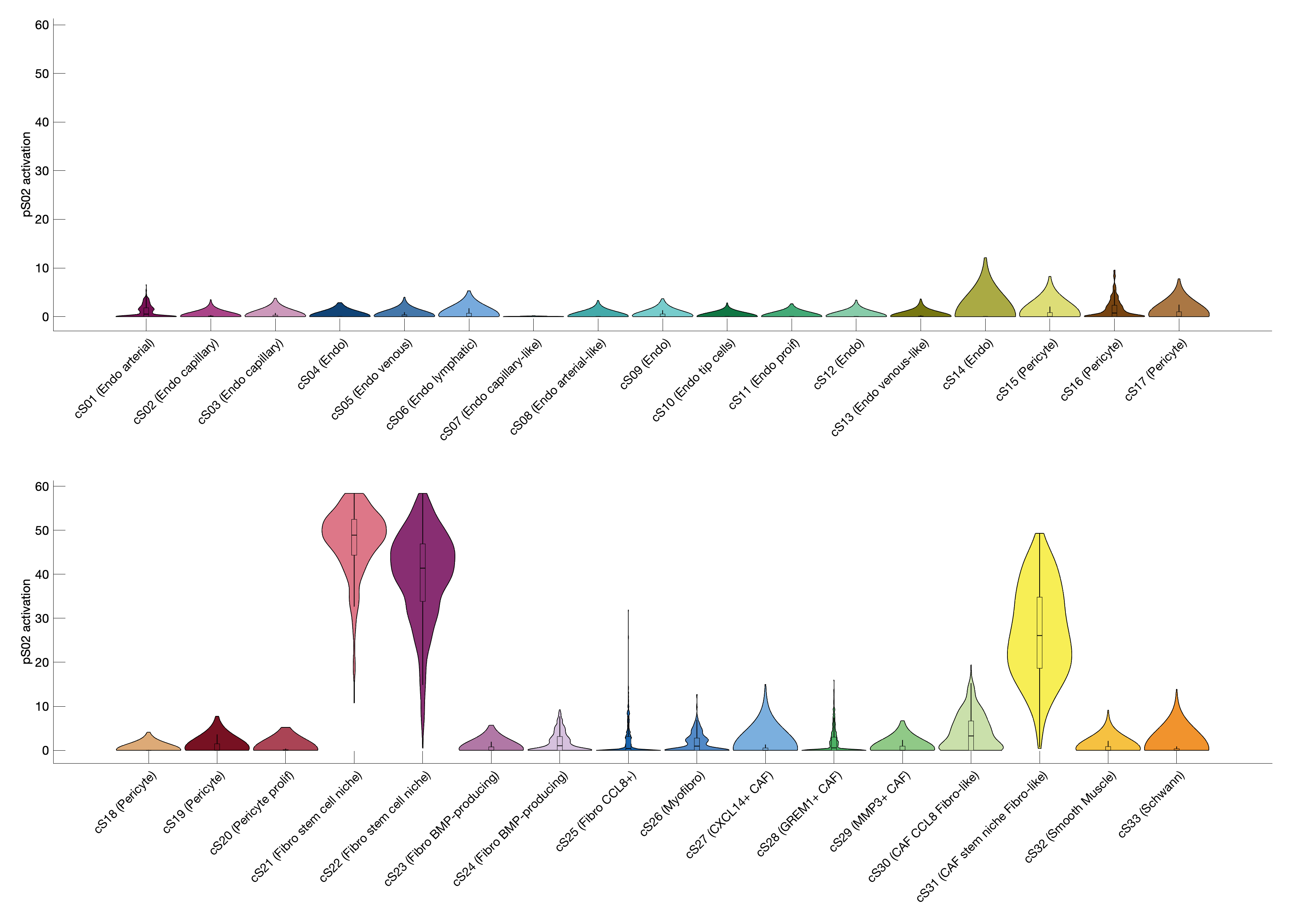 Gene program activation of pS02 by different cell subtypes