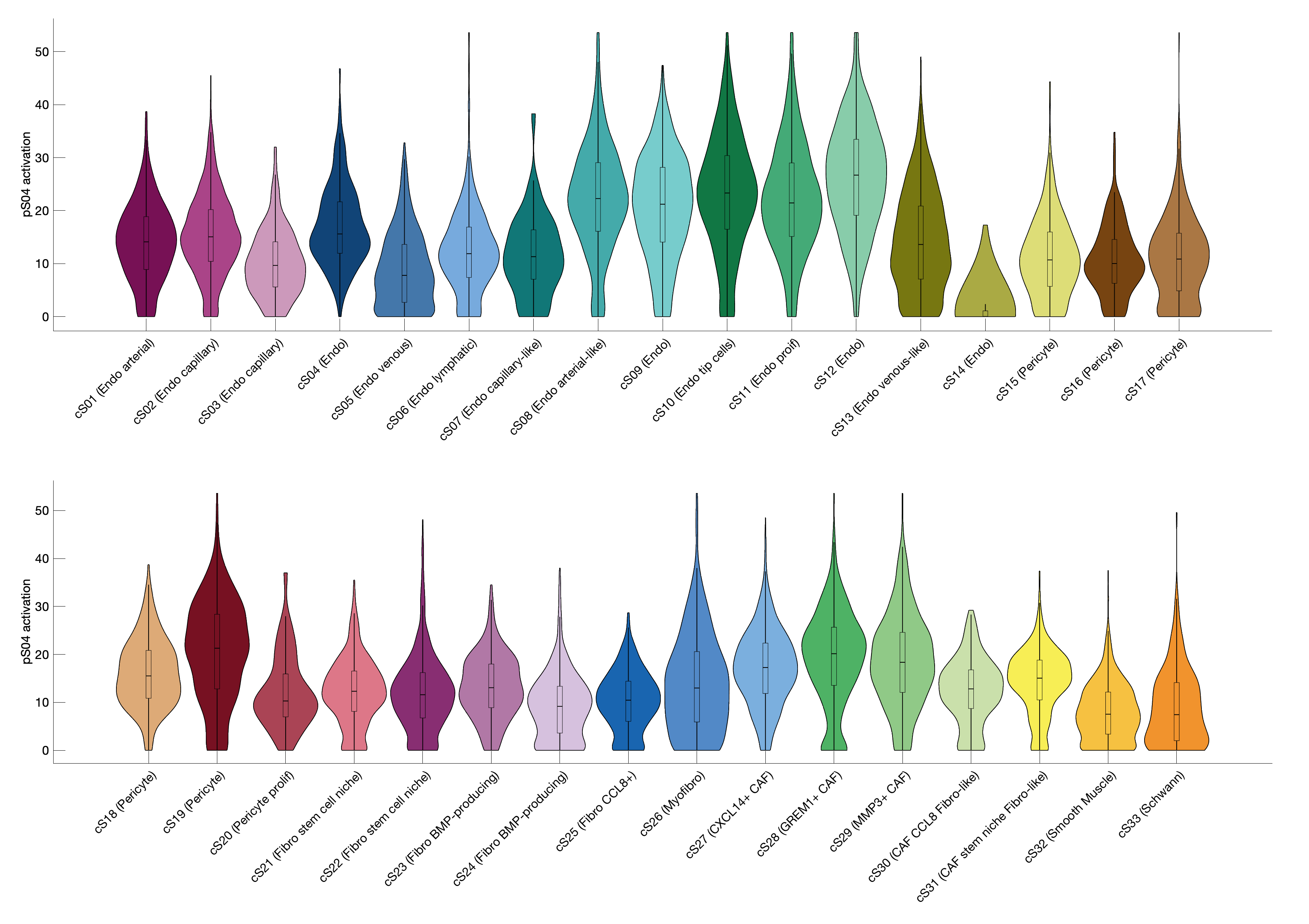 Gene program activation of pS04 by different cell subtypes