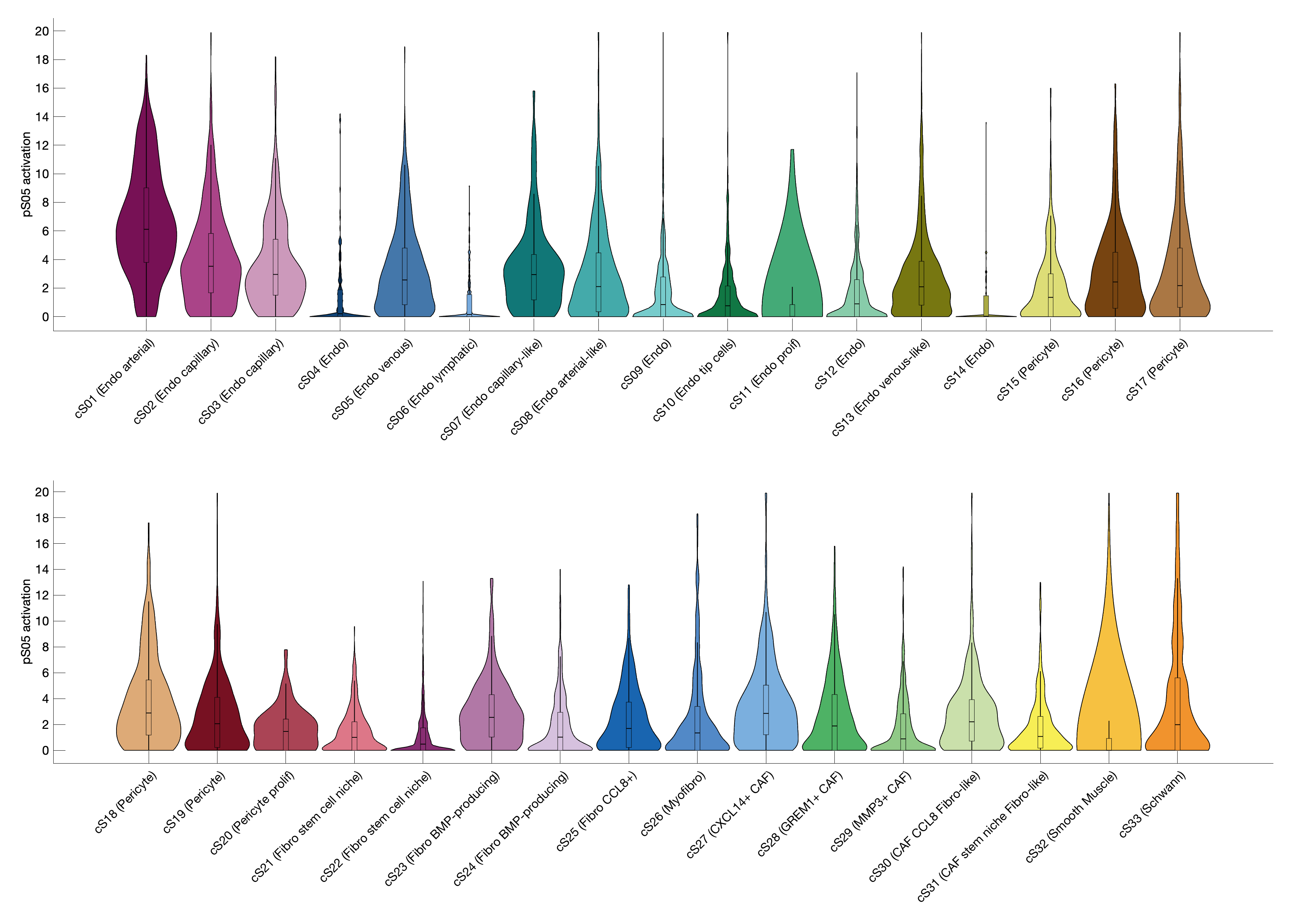 Gene program activation of pS05 by different cell subtypes