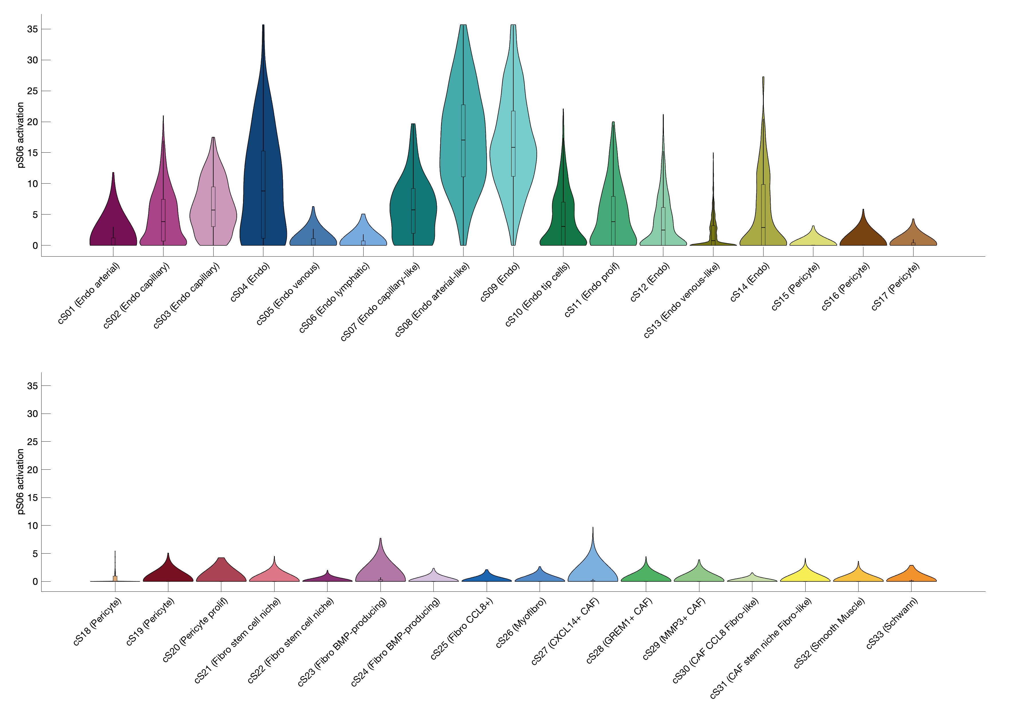 Gene program activation of pS06 by different cell subtypes