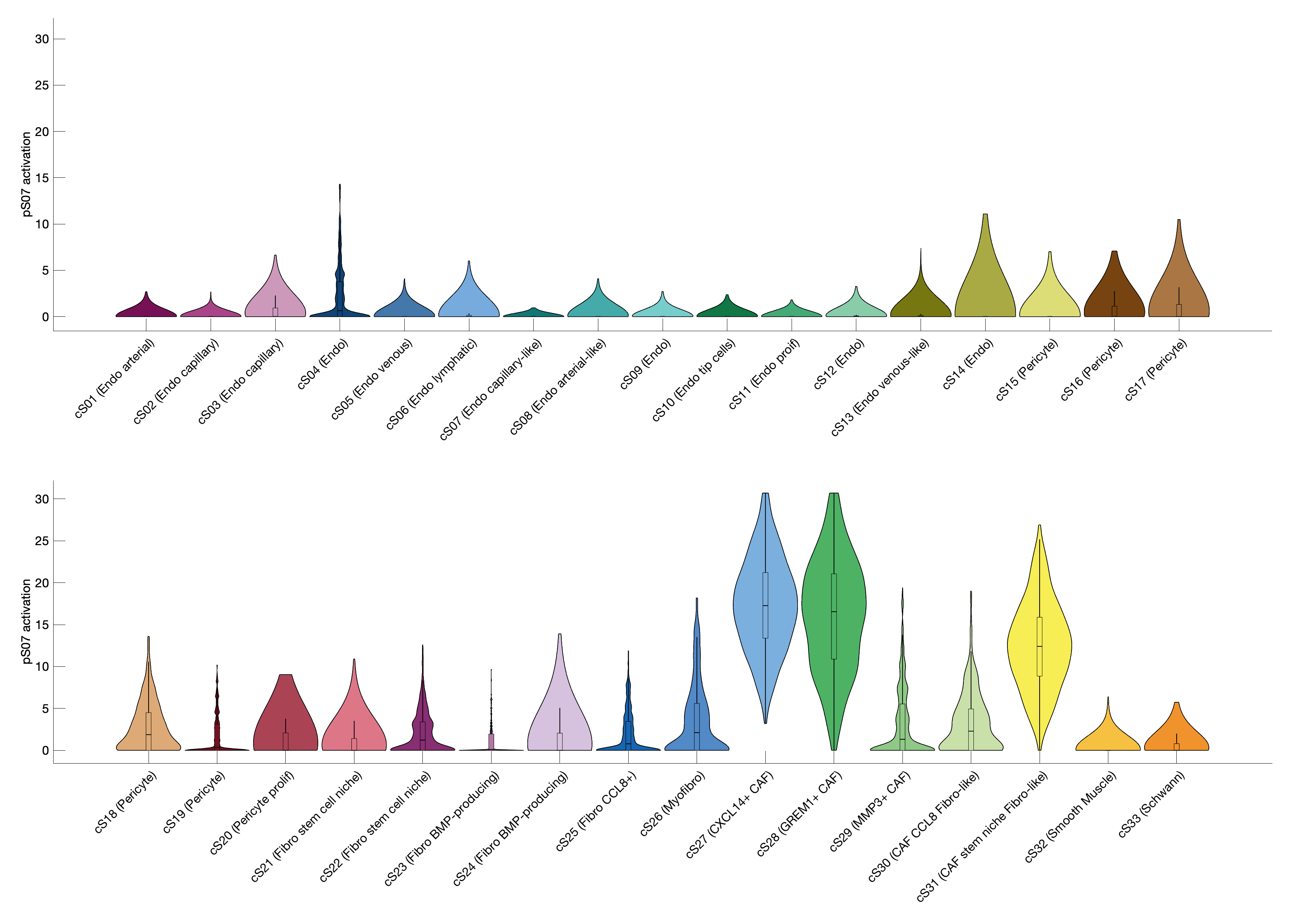 Gene program activation of pS07 by different cell subtypes