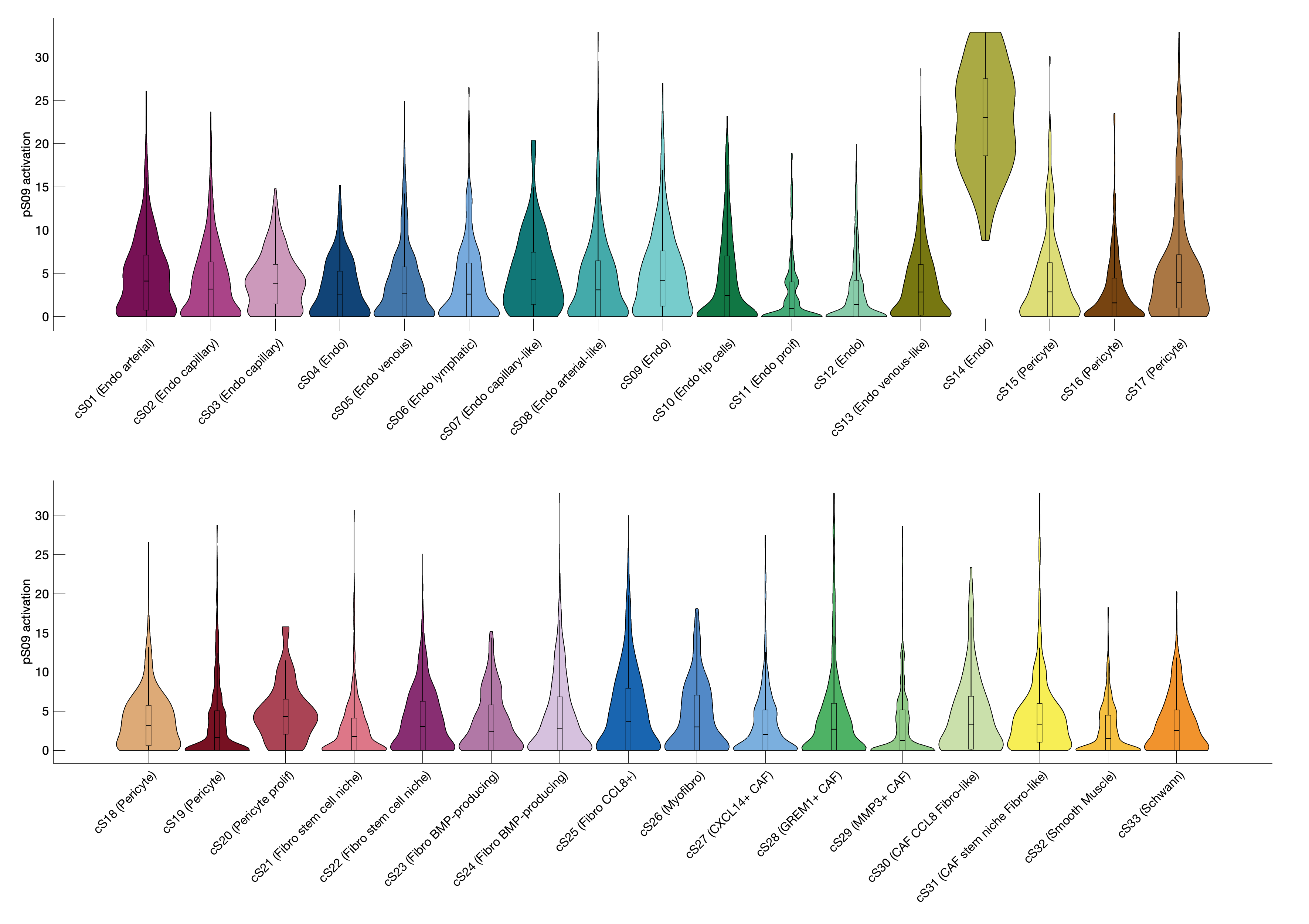 Gene program activation of pS09 by different cell subtypes