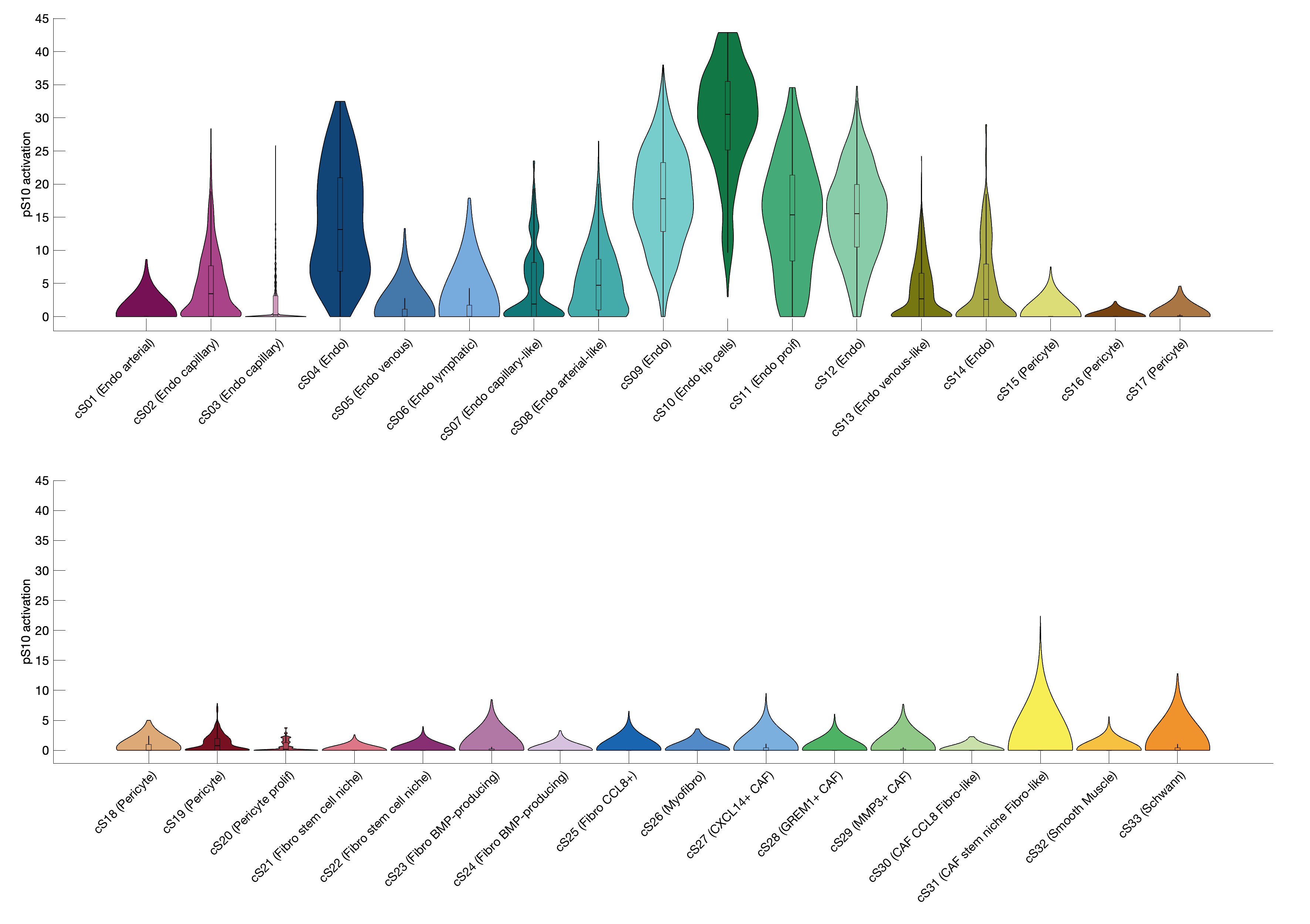 Gene program activation of pS10 by different cell subtypes