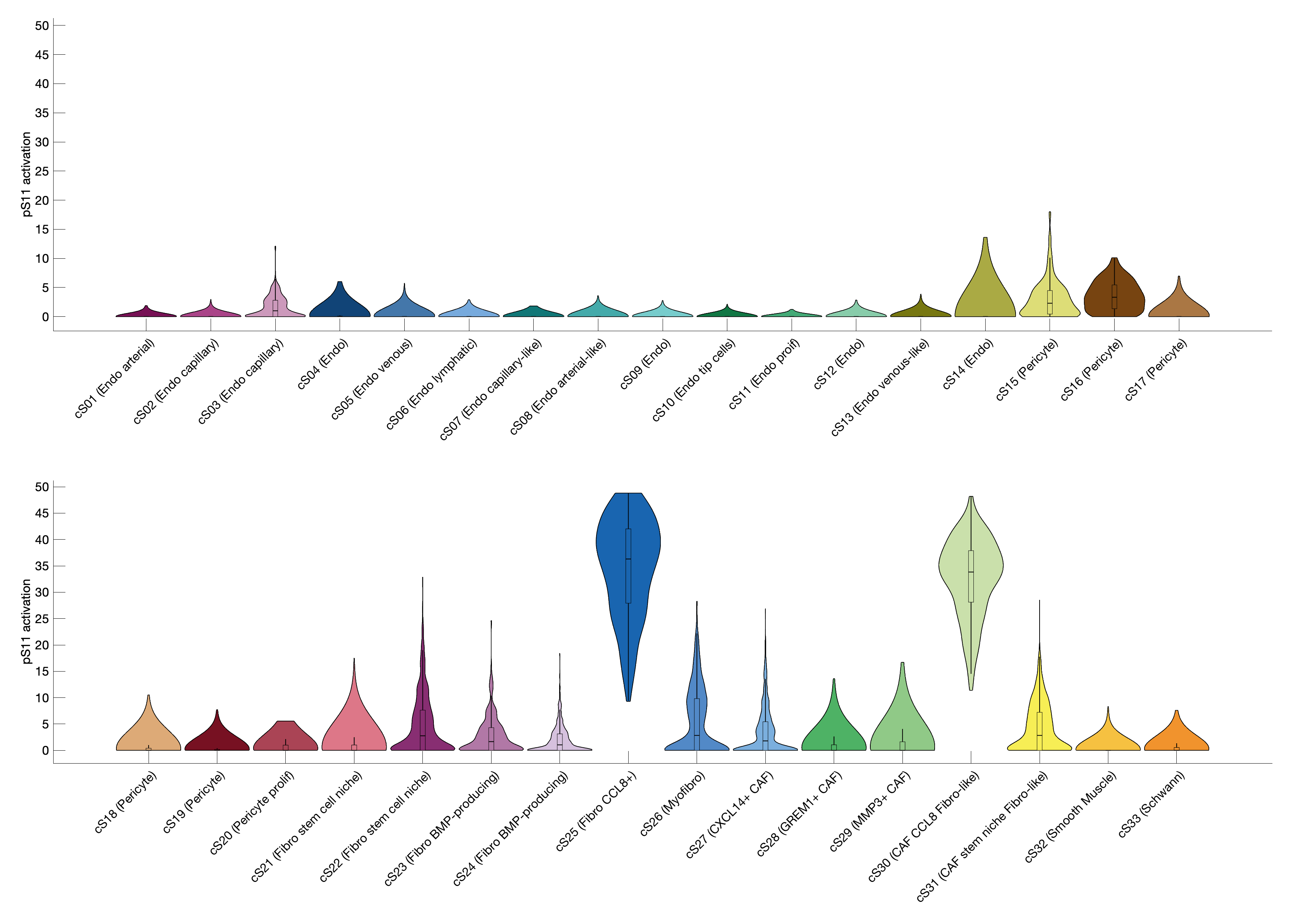 Gene program activation of pS11 by different cell subtypes