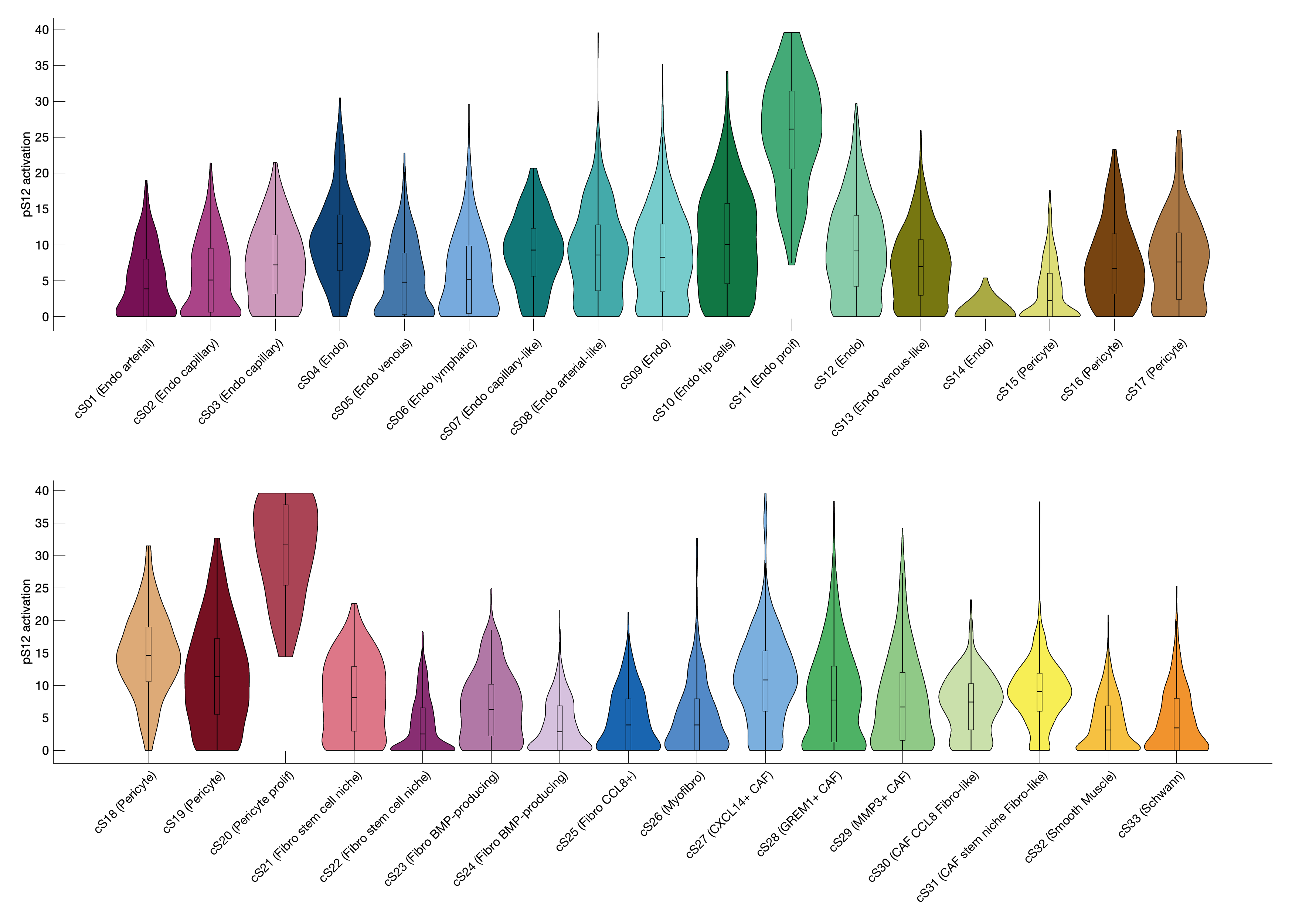 Gene program activation of pS12 by different cell subtypes