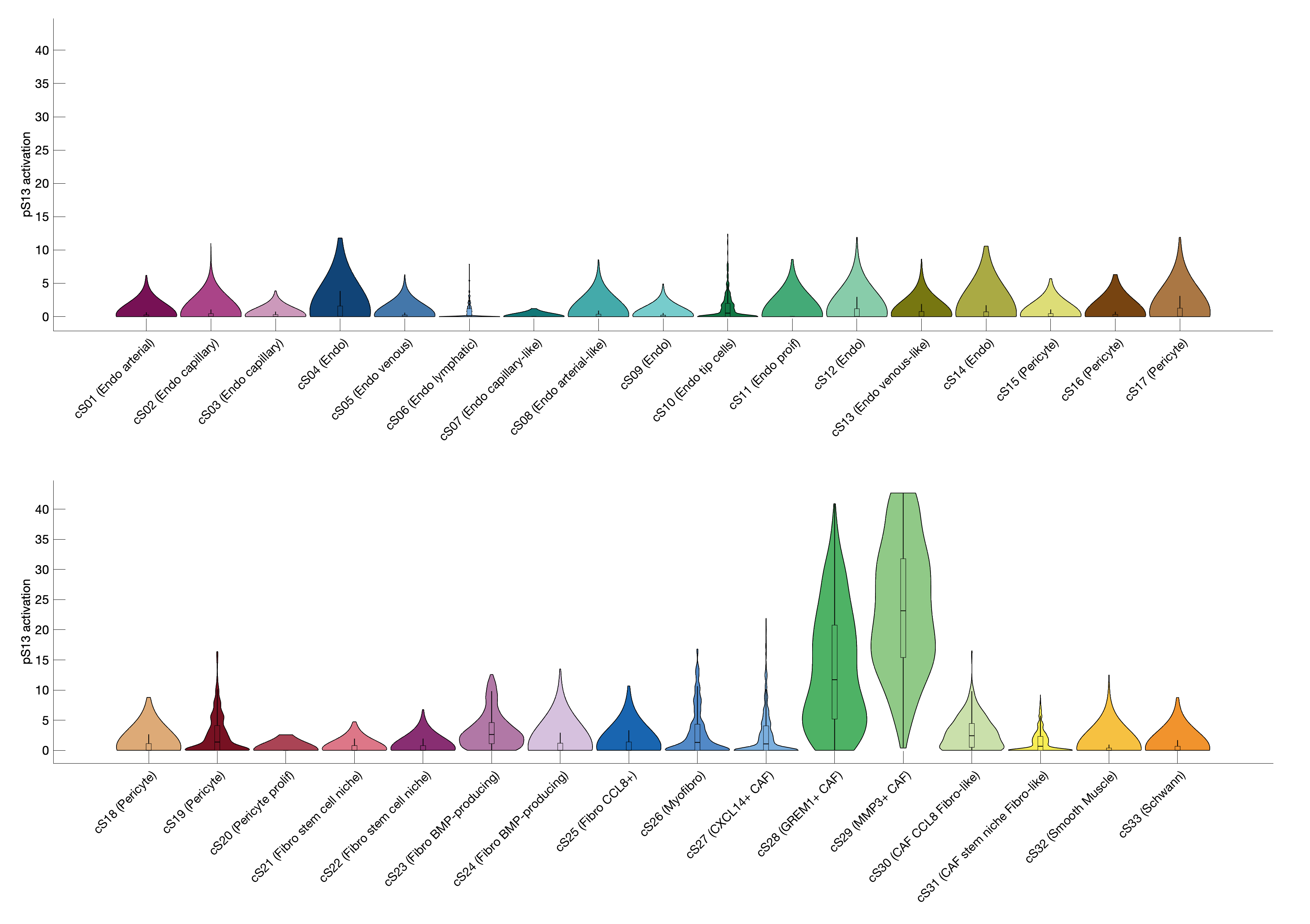 Gene program activation of pS13 by different cell subtypes