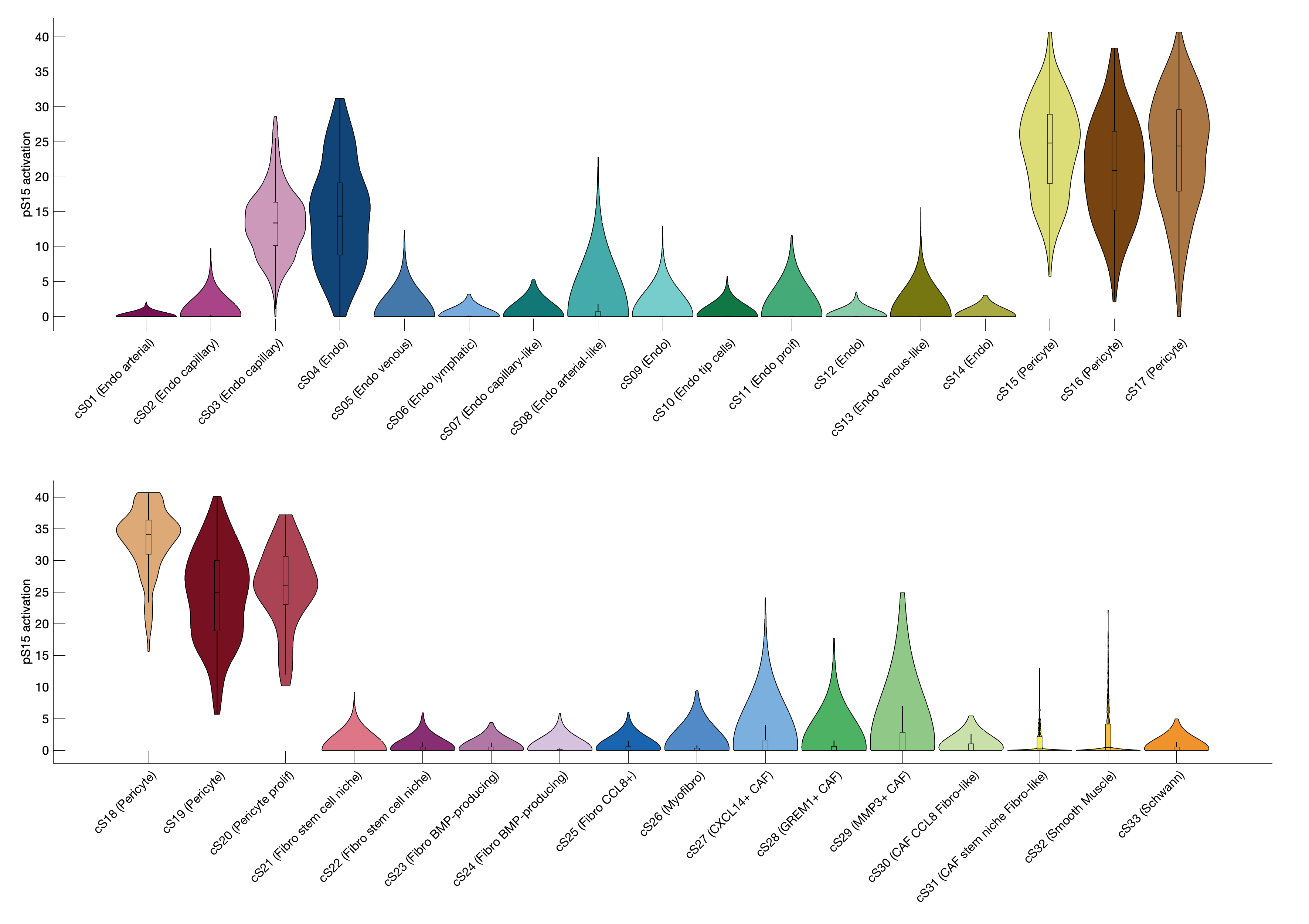 Gene program activation of pS15 by different cell subtypes