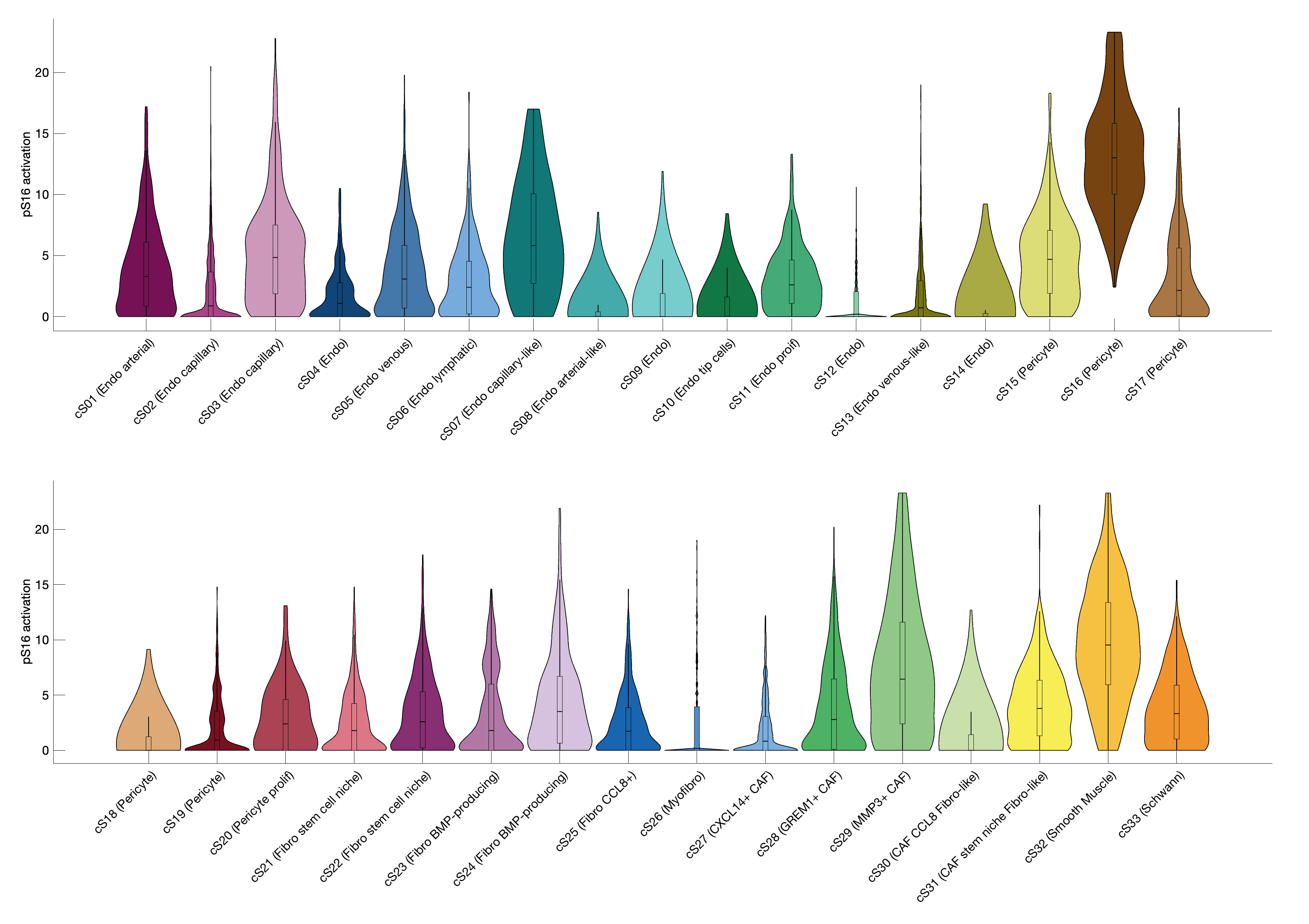 Gene program activation of pS16 by different cell subtypes