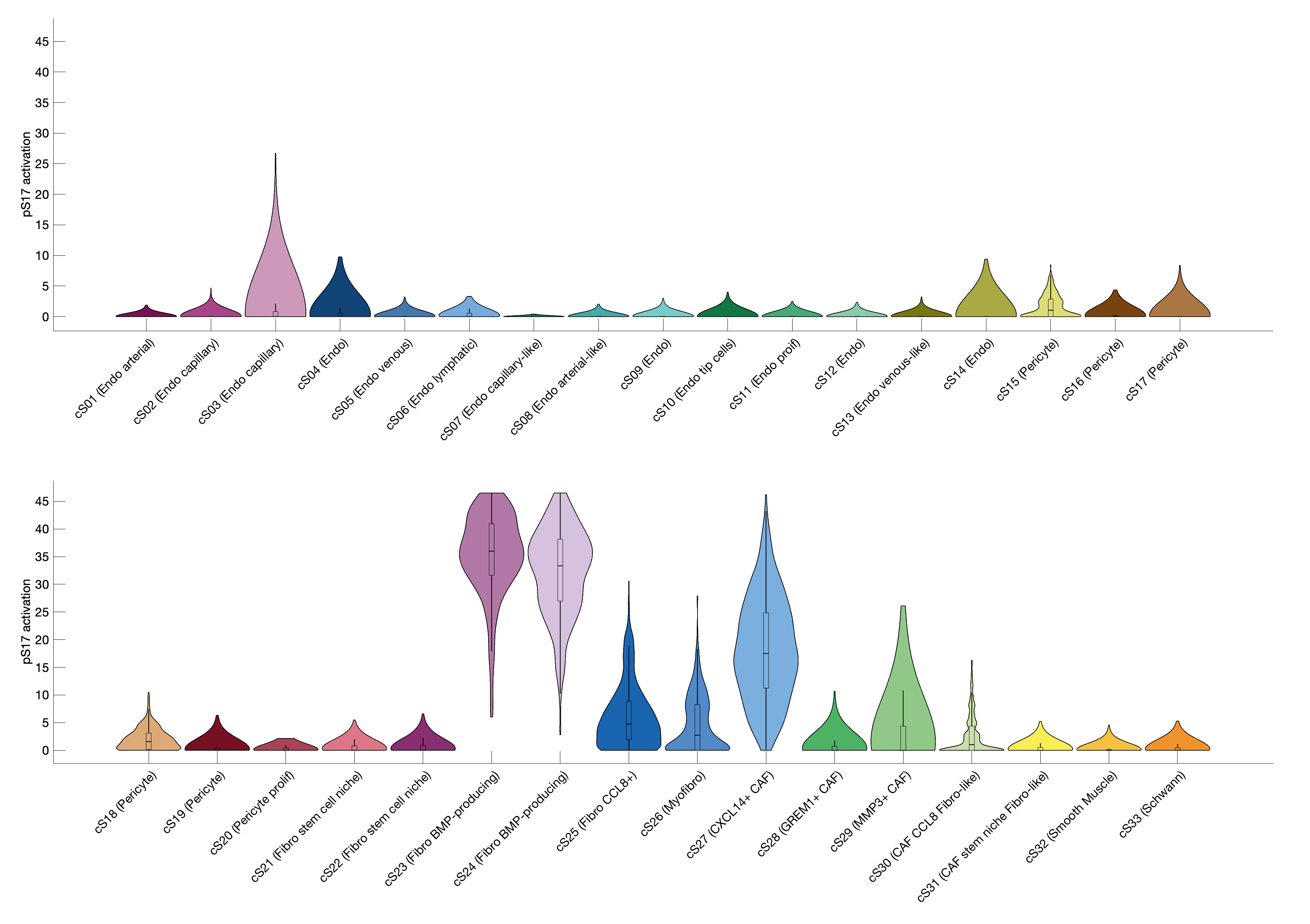 Gene program activation of pS17 by different cell subtypes