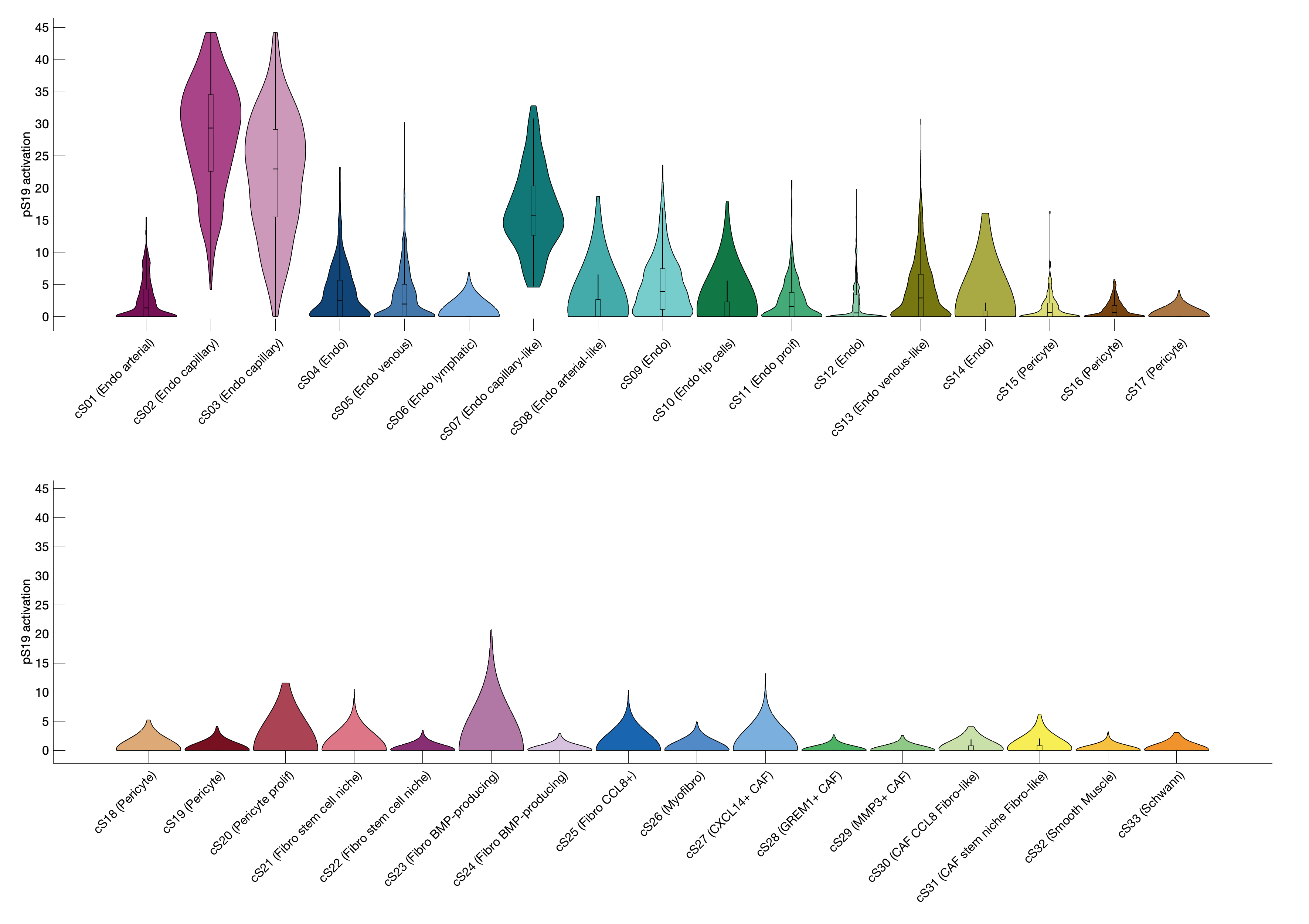 Gene program activation of pS19 by different cell subtypes