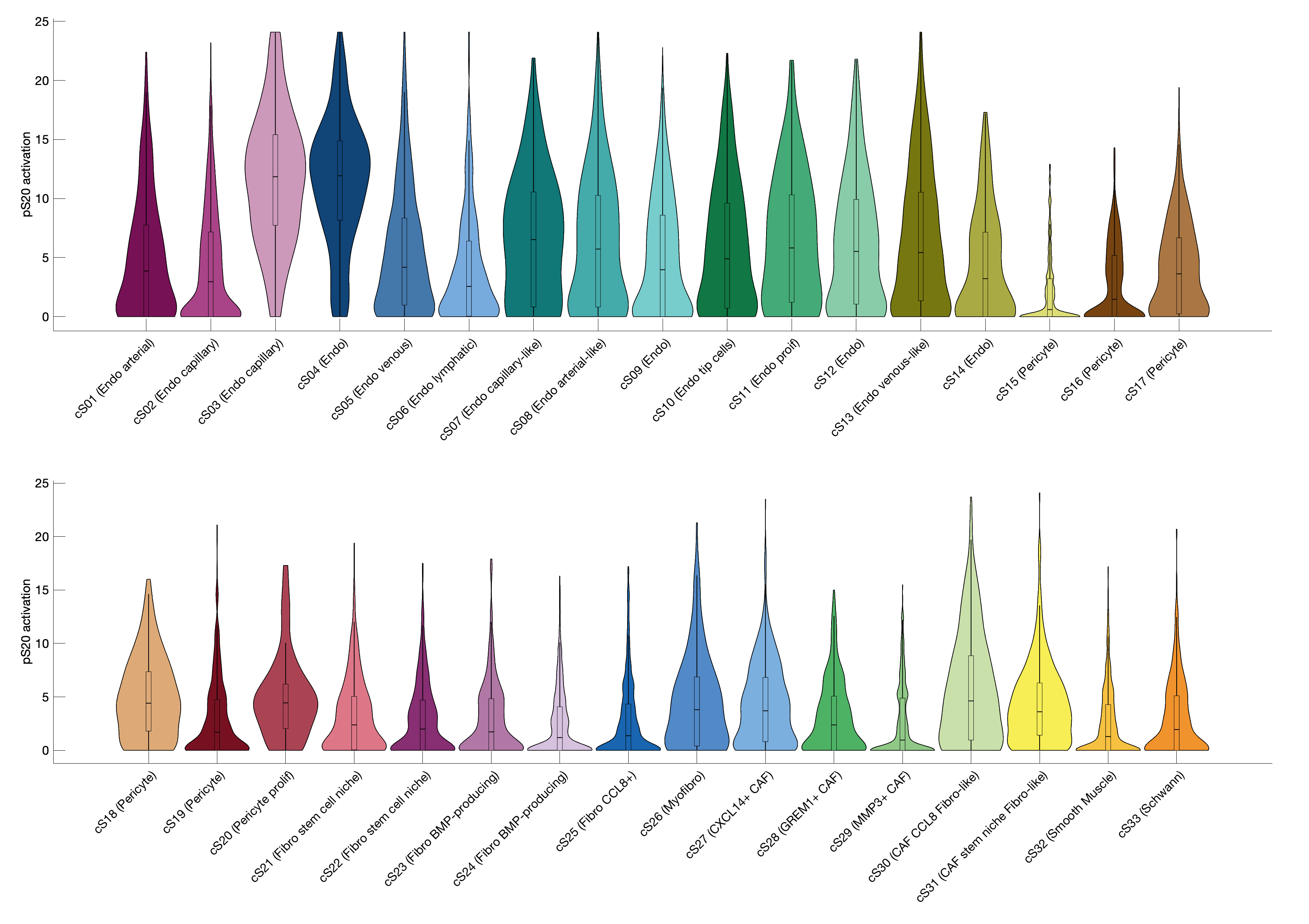 Gene program activation of pS20 by different cell subtypes