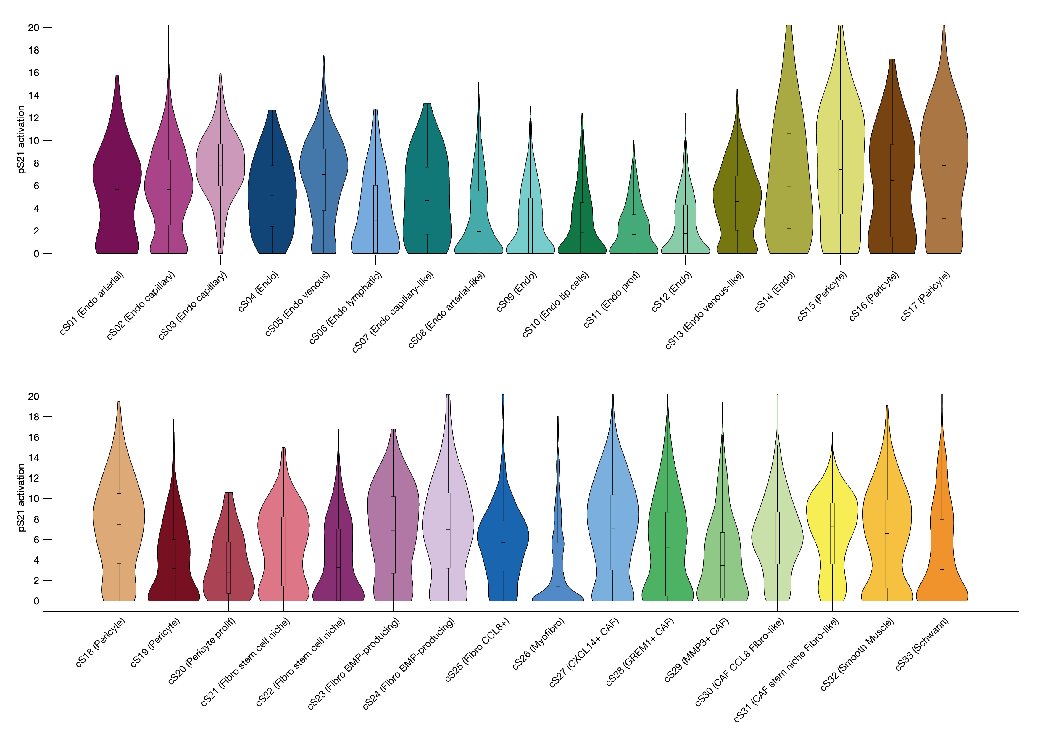 Gene program activation of pS21 by different cell subtypes