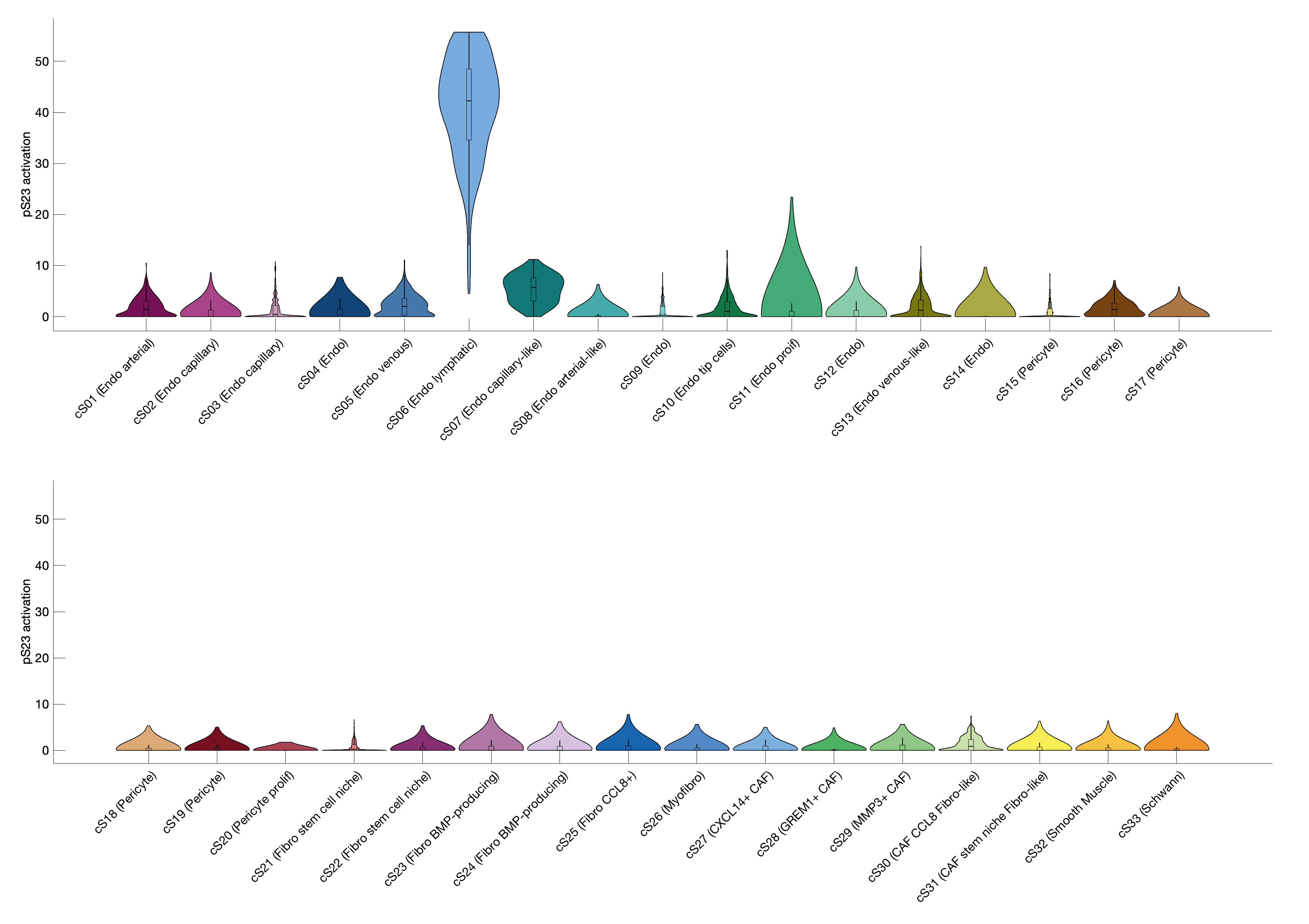 Gene program activation of pS23 by different cell subtypes