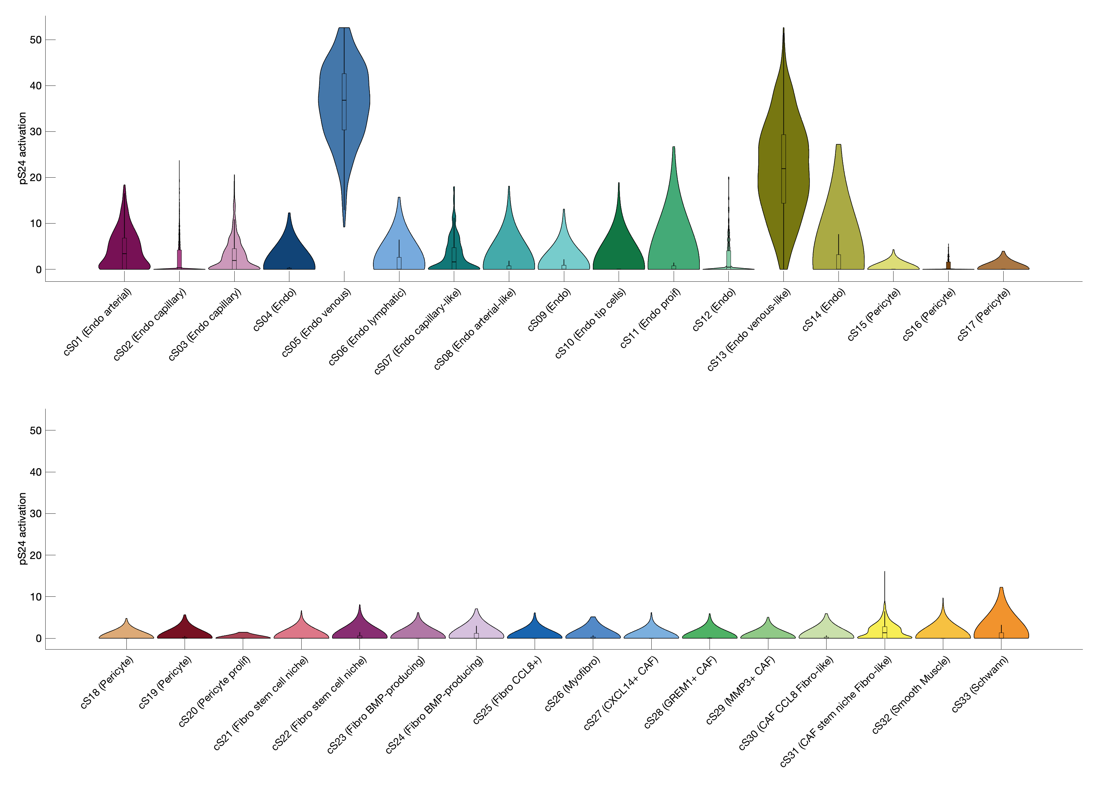 Gene program activation of pS24 by different cell subtypes