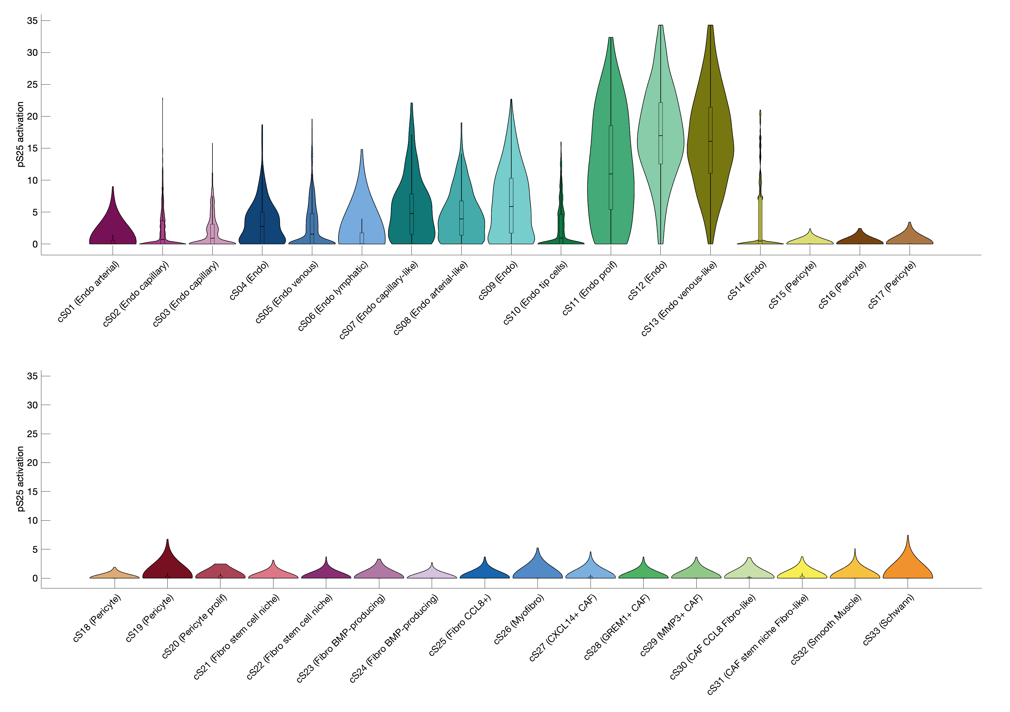 Gene program activation of pS25 by different cell subtypes