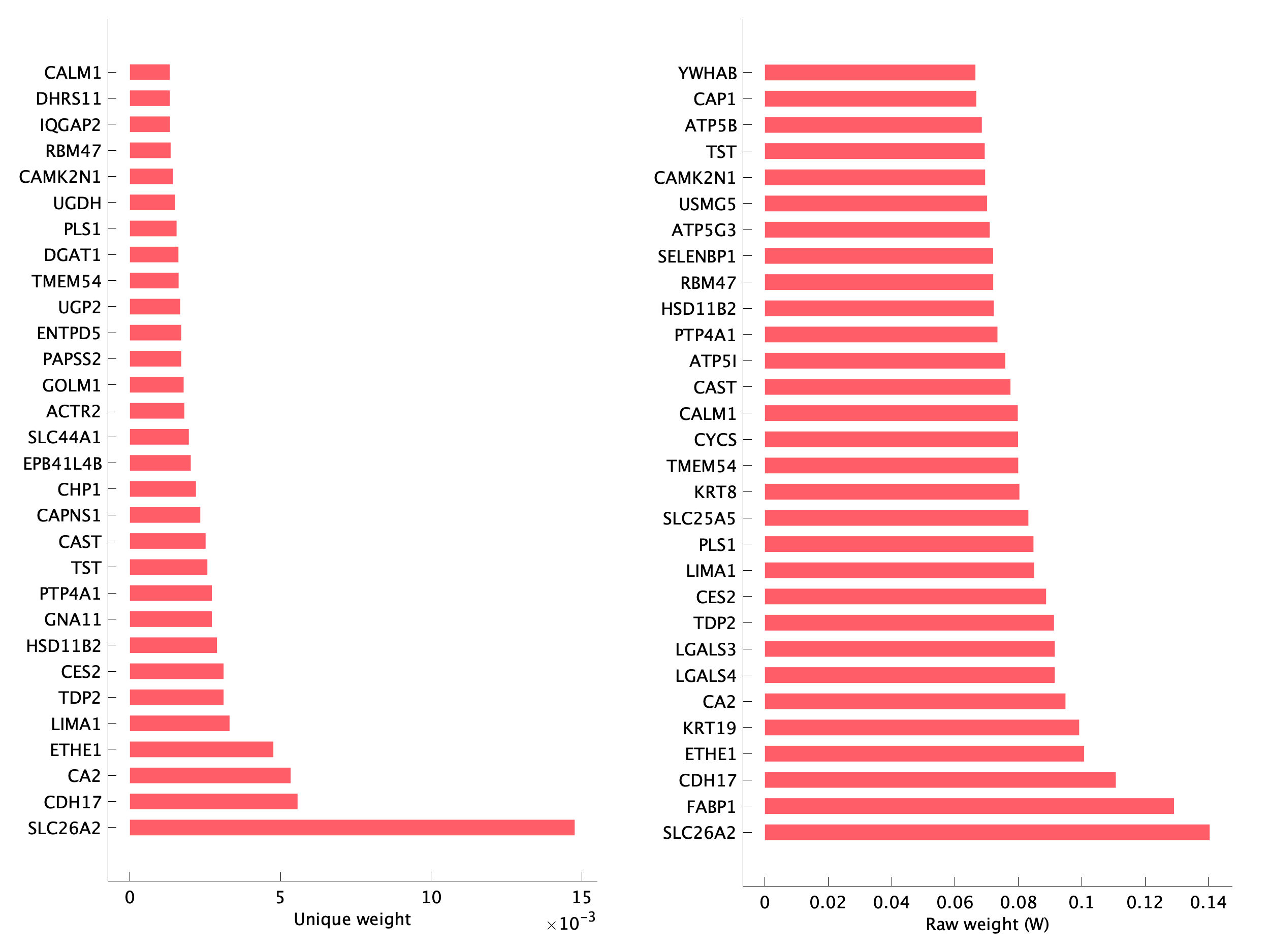 Top genes of pEpi16 program