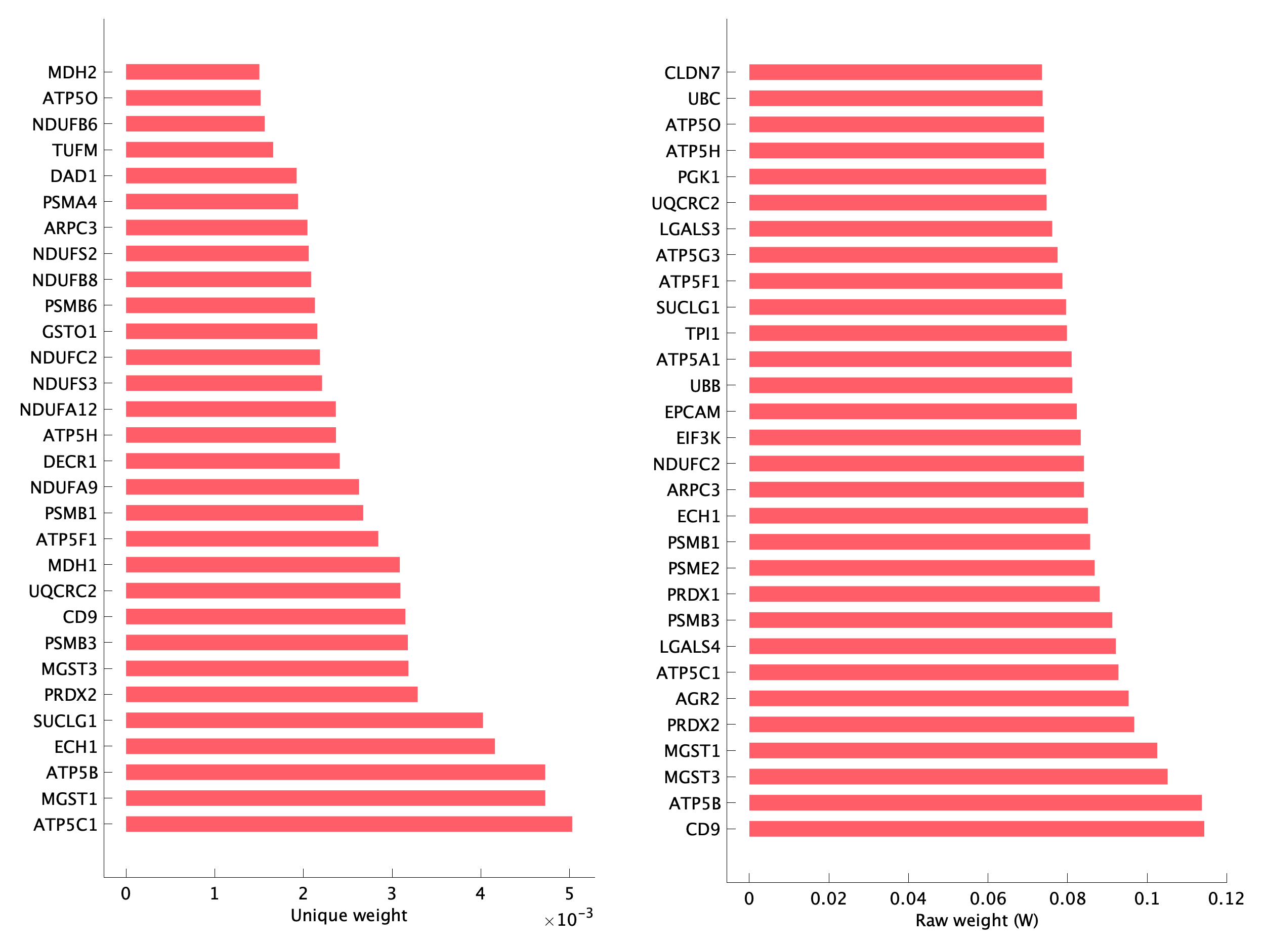 Top genes of pEpi28 program