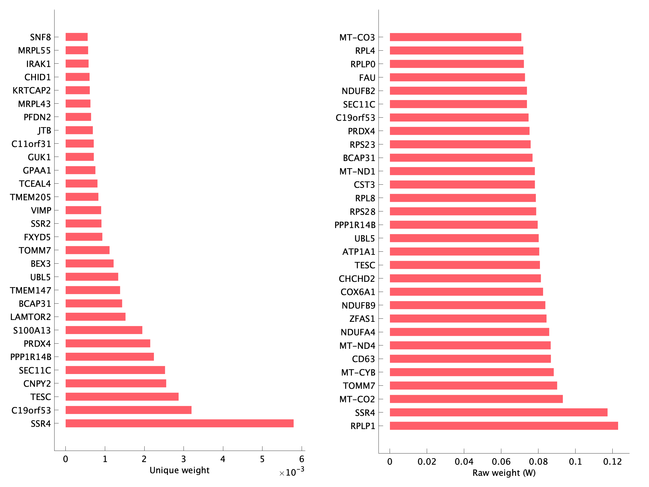 Top genes of pEpi33 program