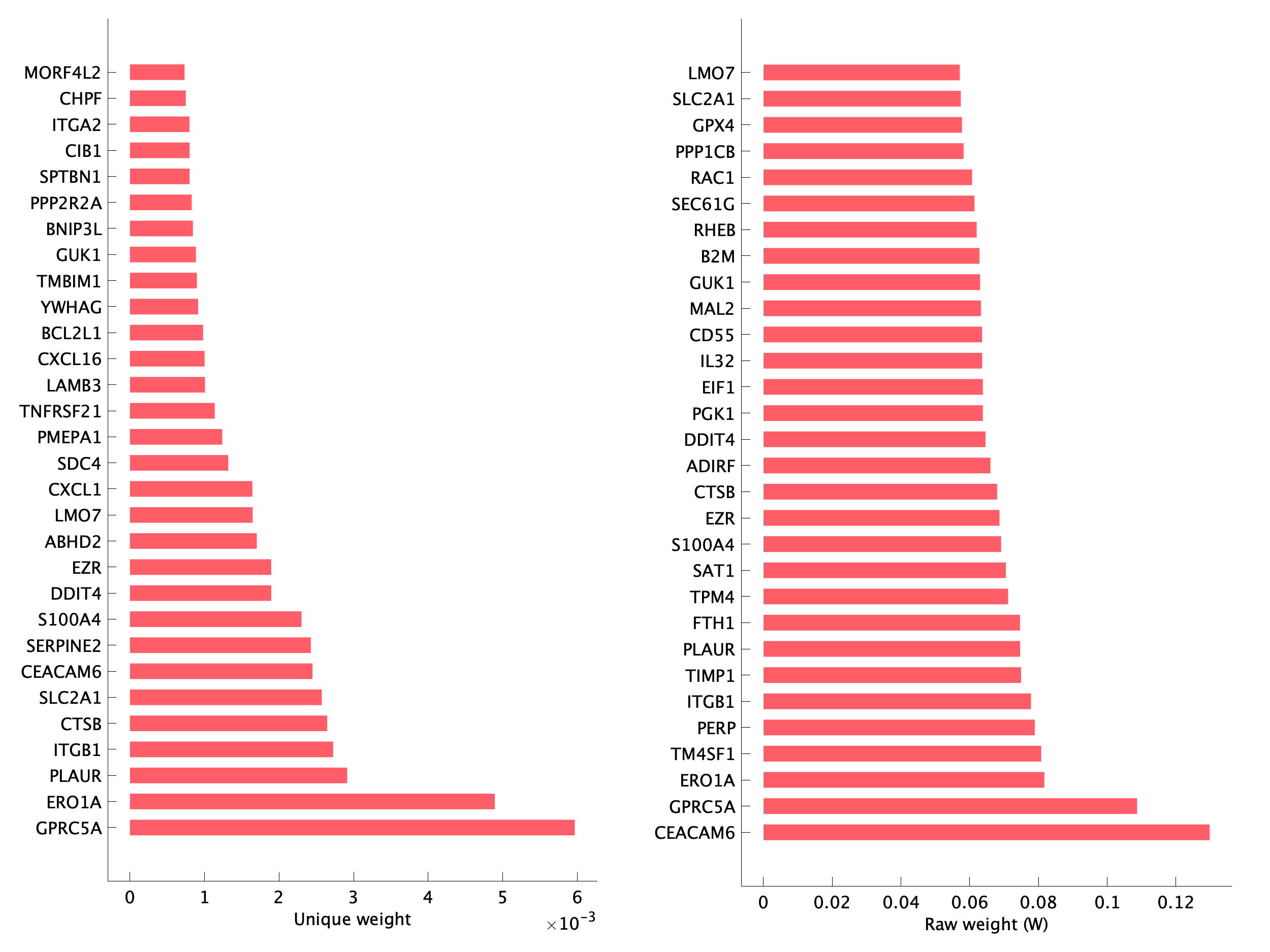 Top genes of pEpiTp09 program