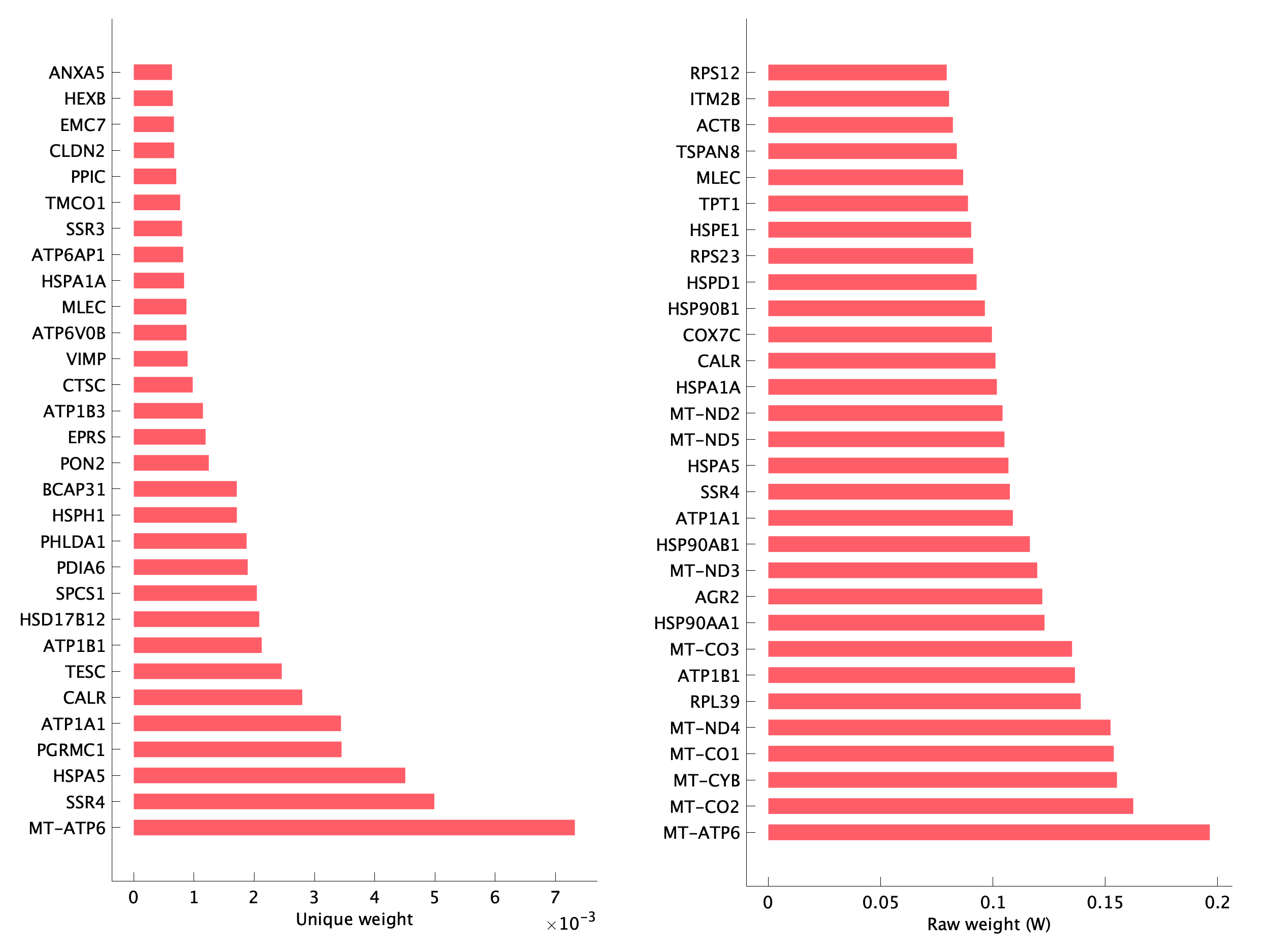 Top genes of pEpiTp19 program