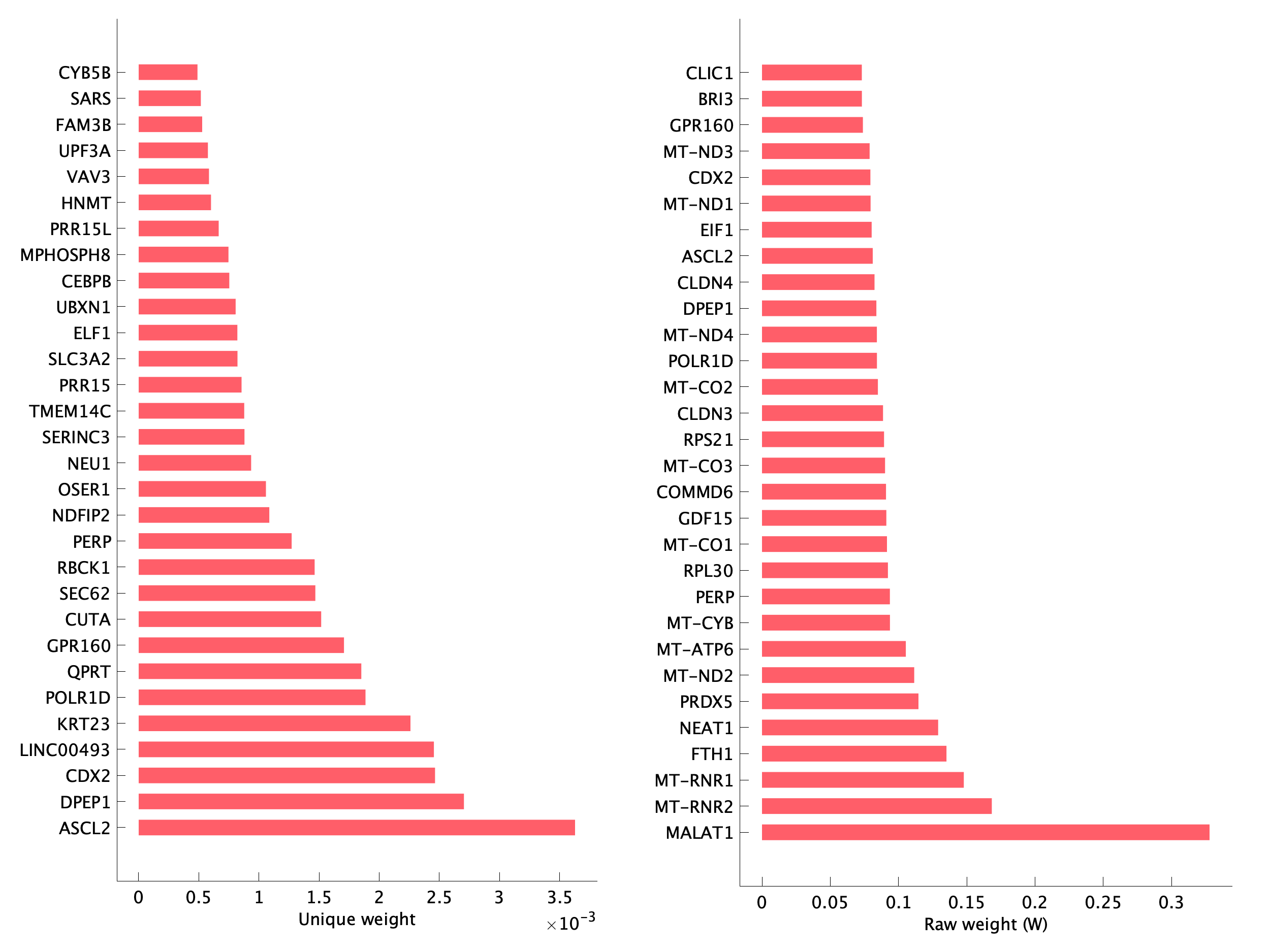 Top genes of pEpiTp23 program