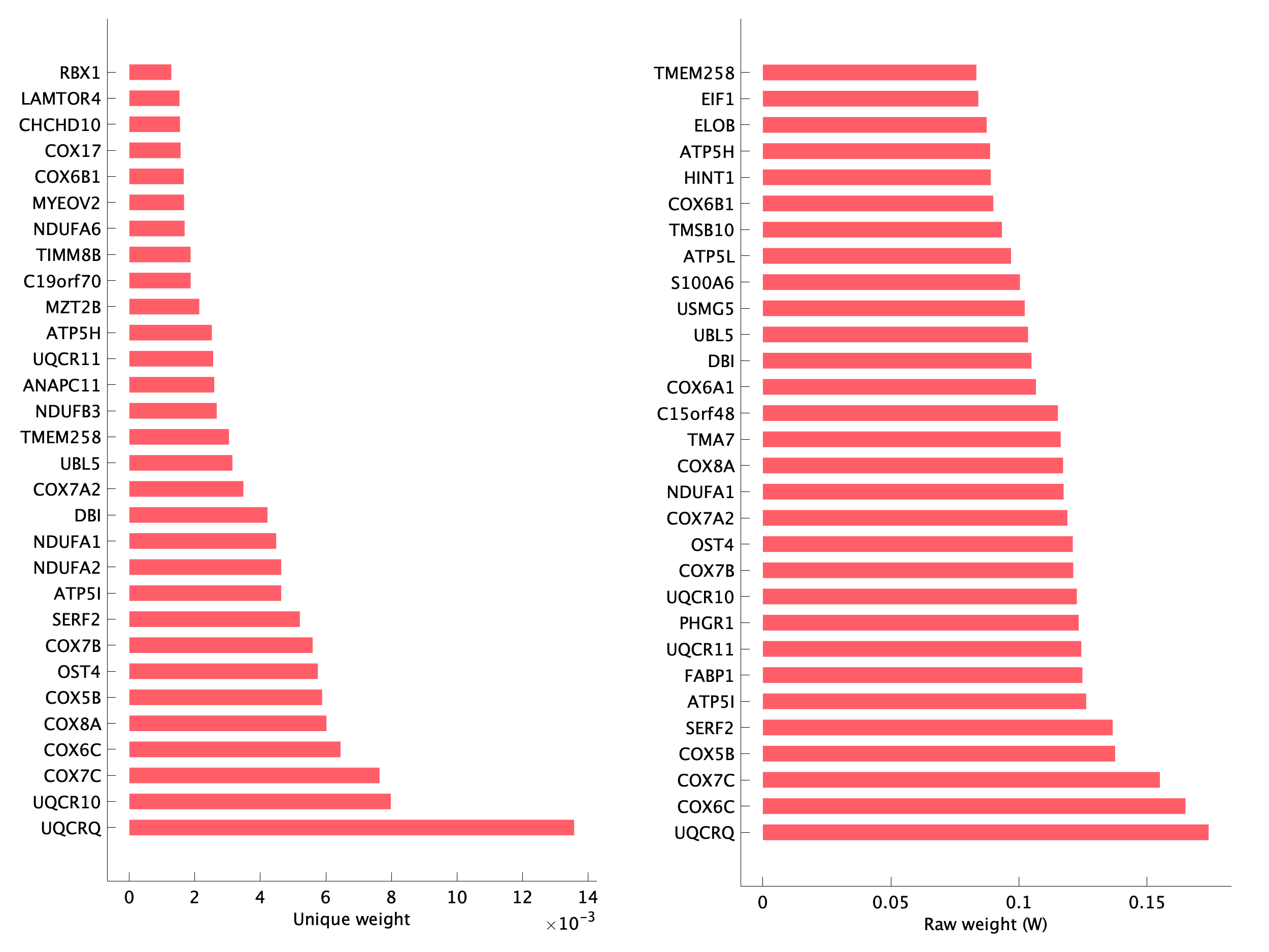 Top genes of pEpiTp27 program