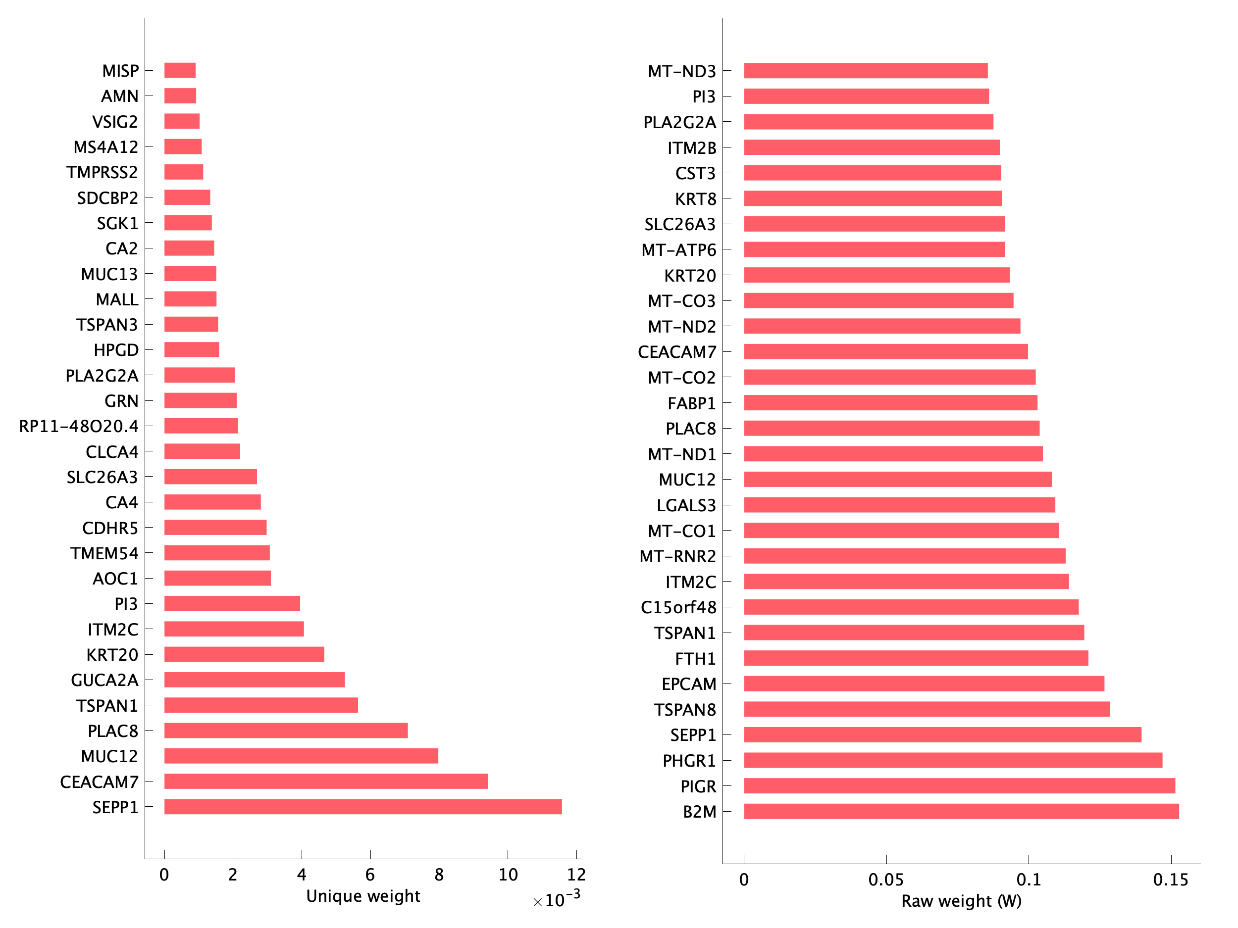 Top genes of pEpiTp29 program