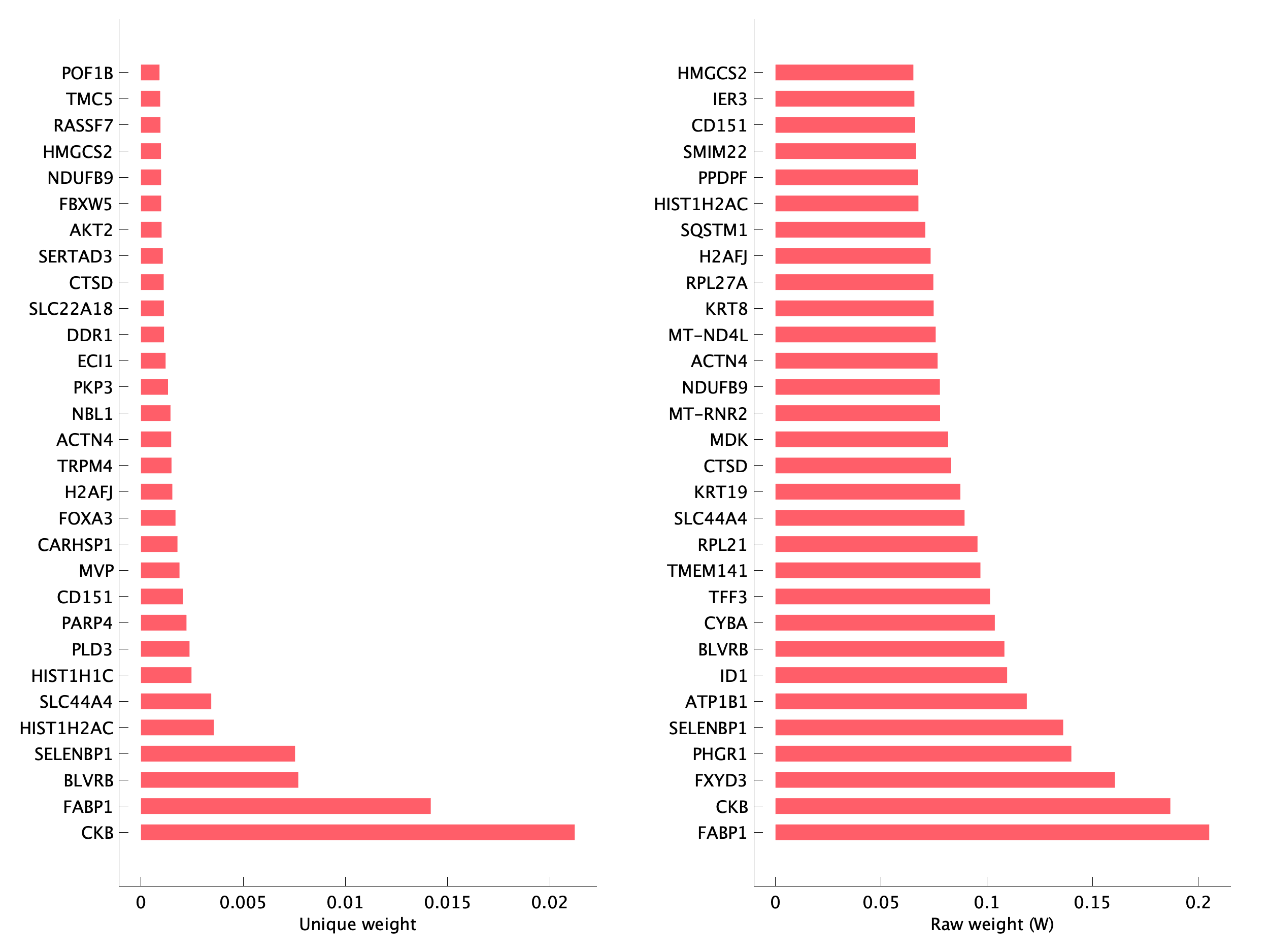 Top genes of pEpiTp31 program