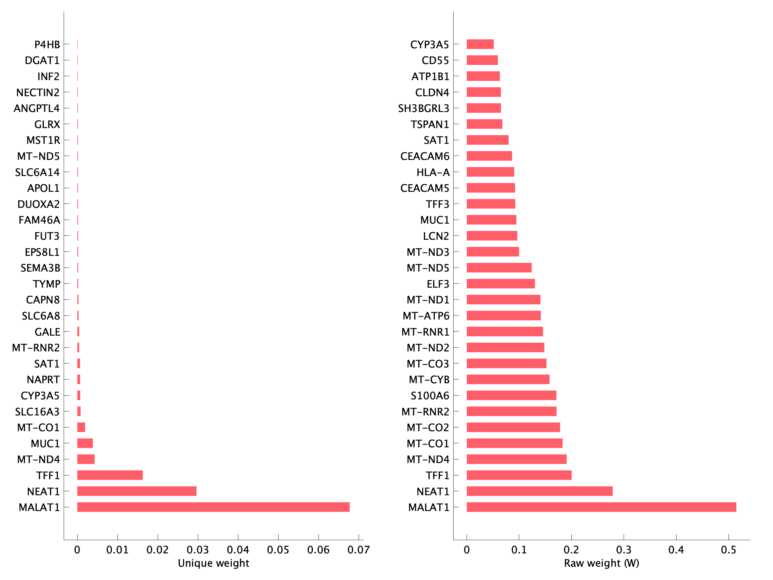 Top genes of pEpiTp32 program