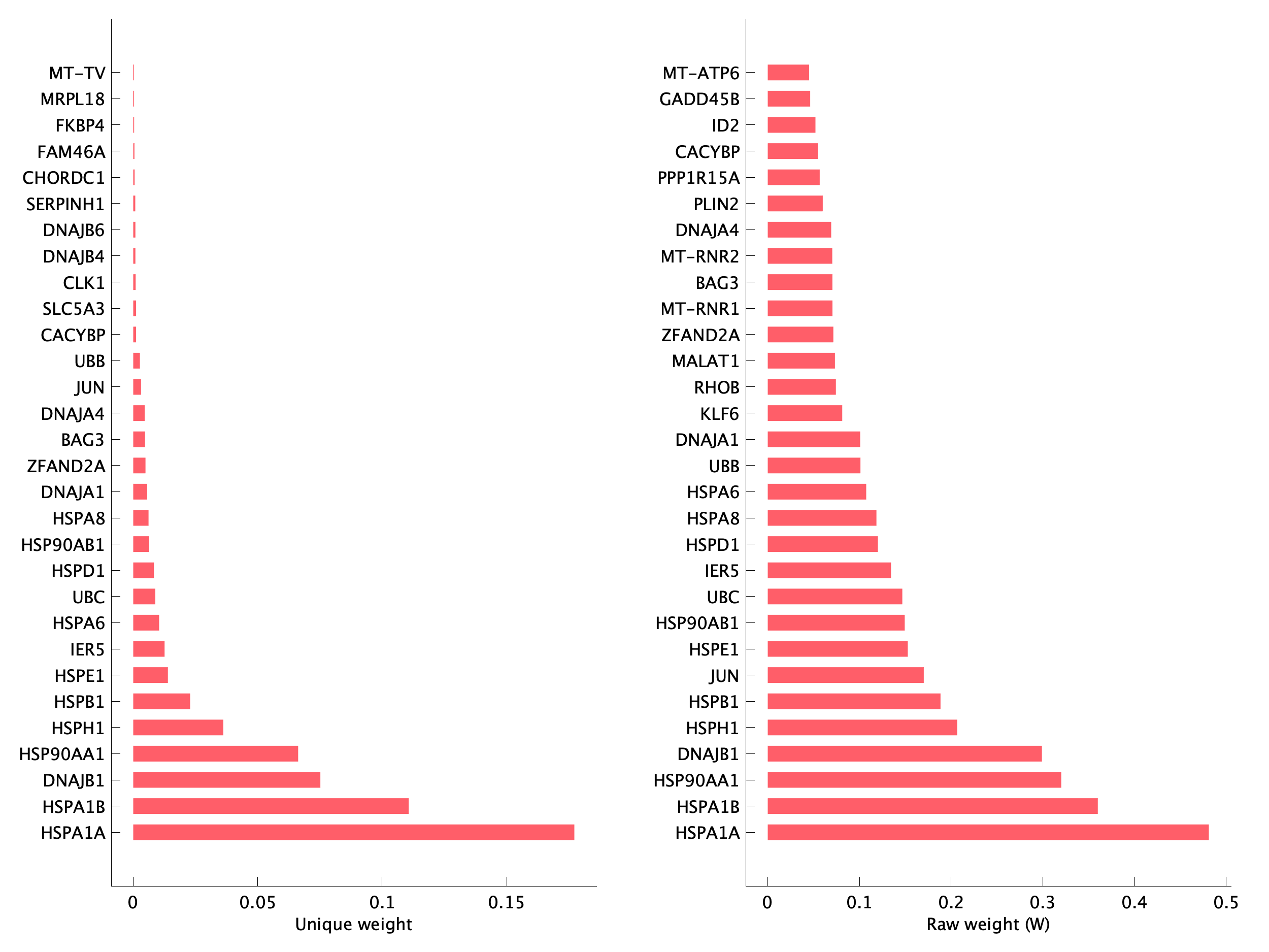 Top genes of pM12 program