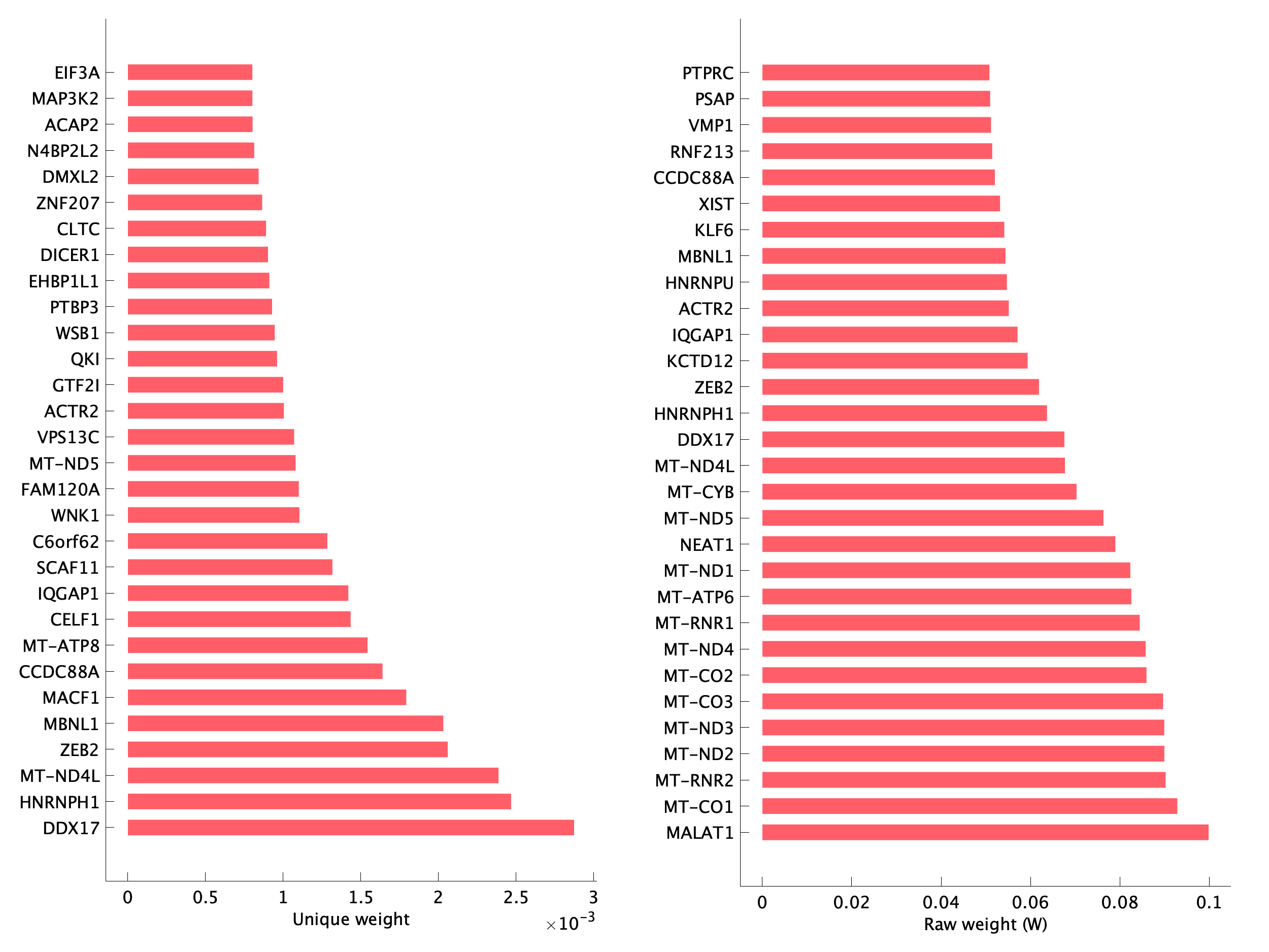 Top genes of pM13 program