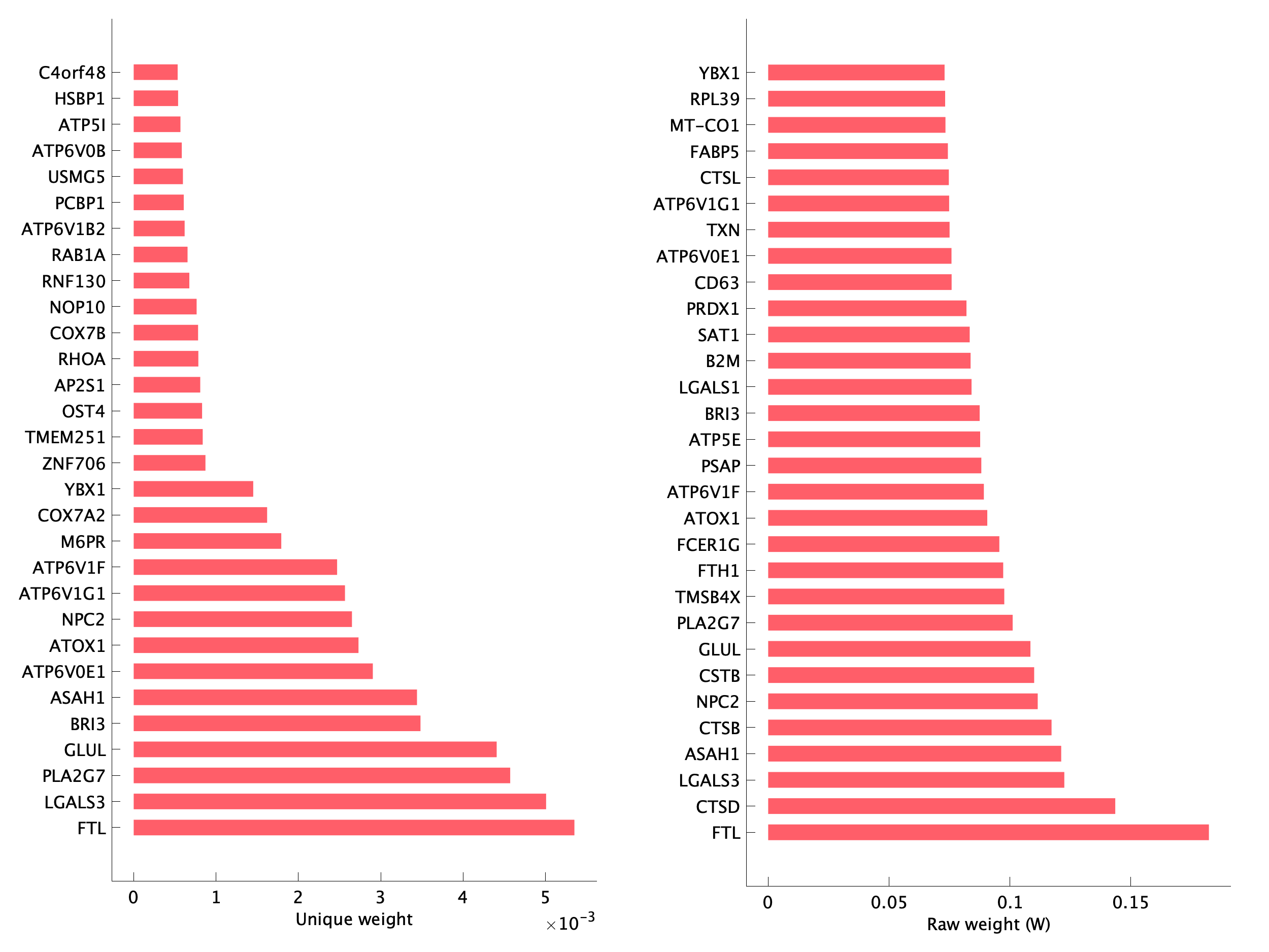 Top genes of pM17 program