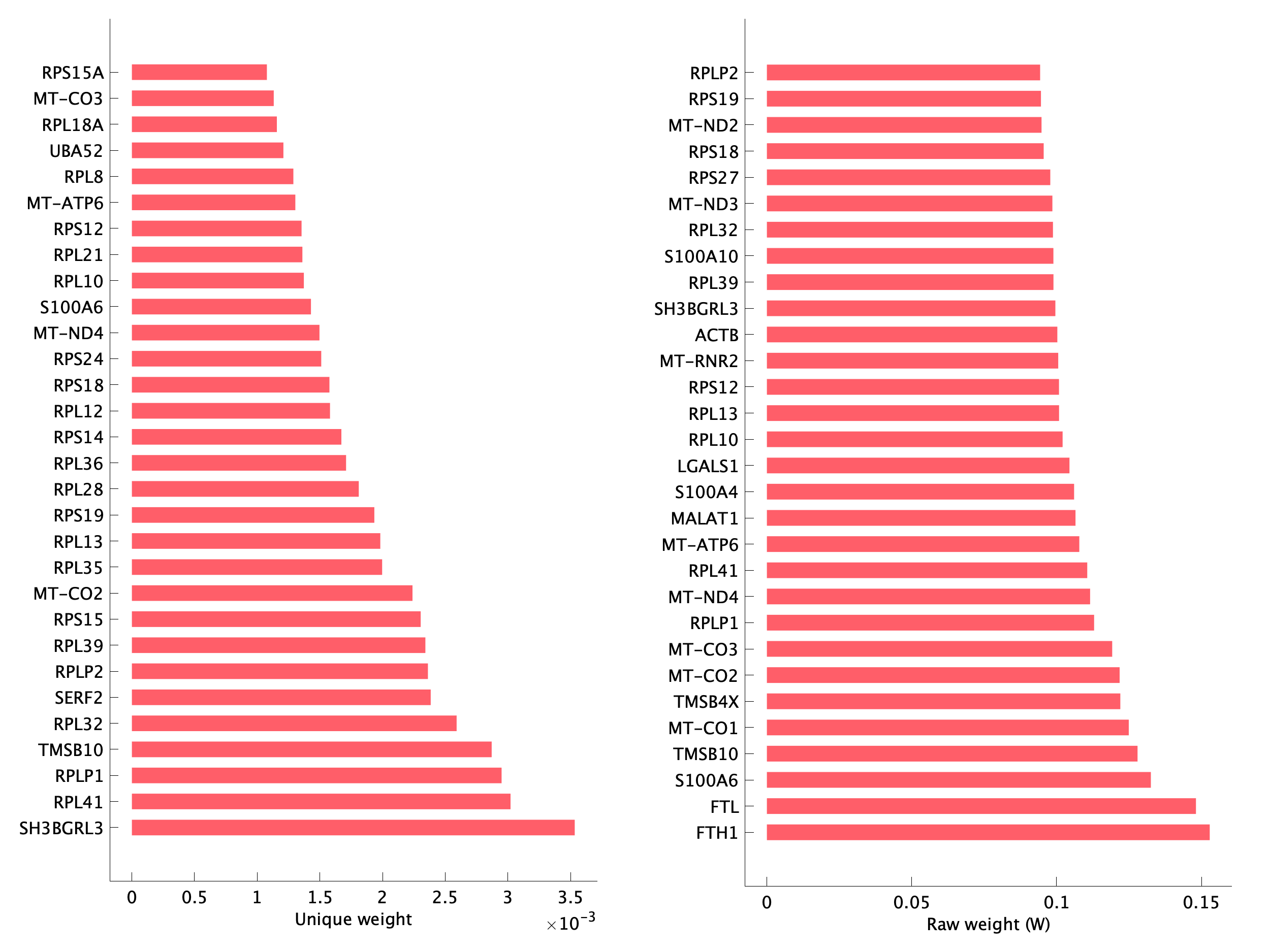 Top genes of pM19 program