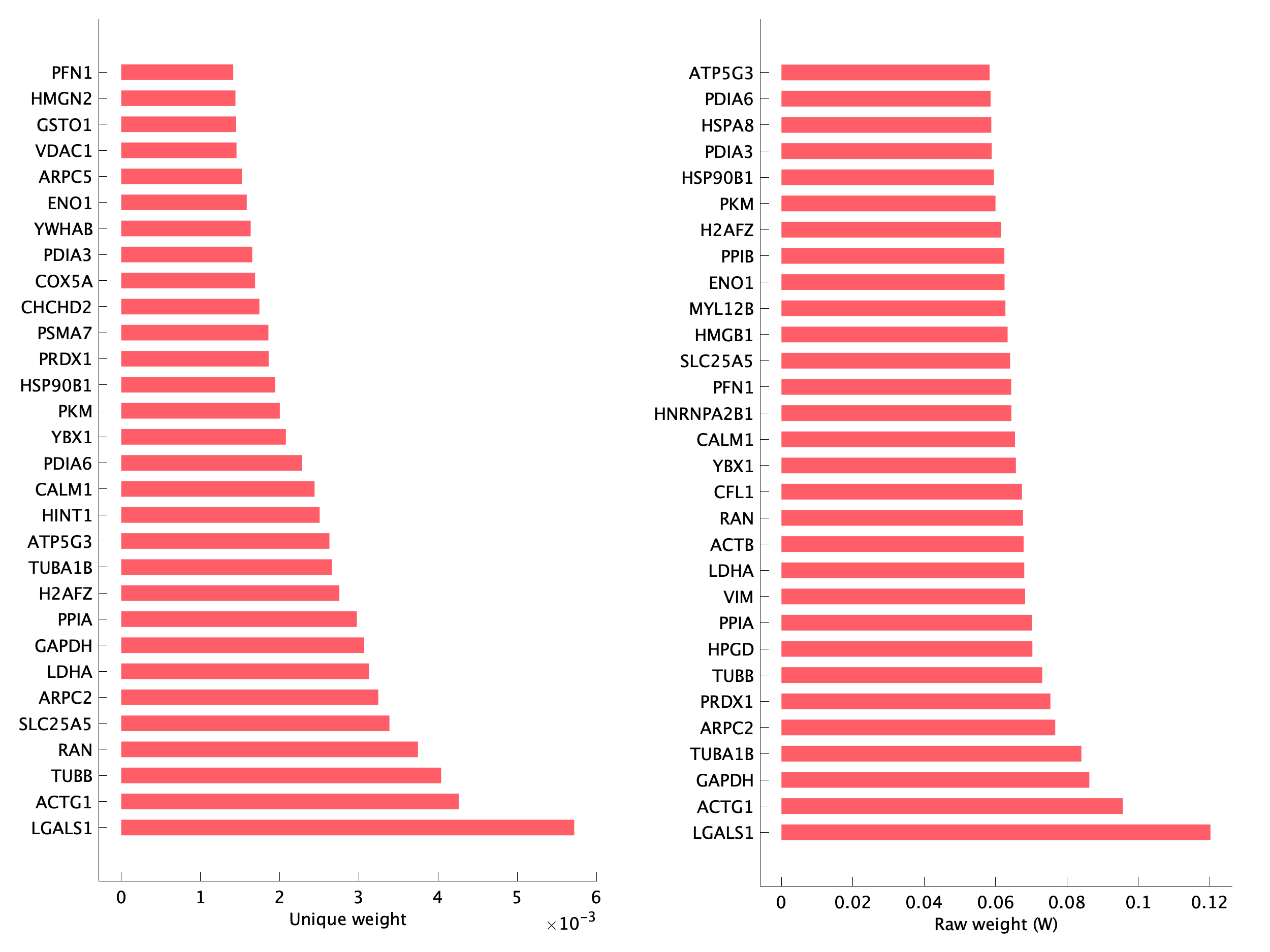 Top genes of pMA04 program