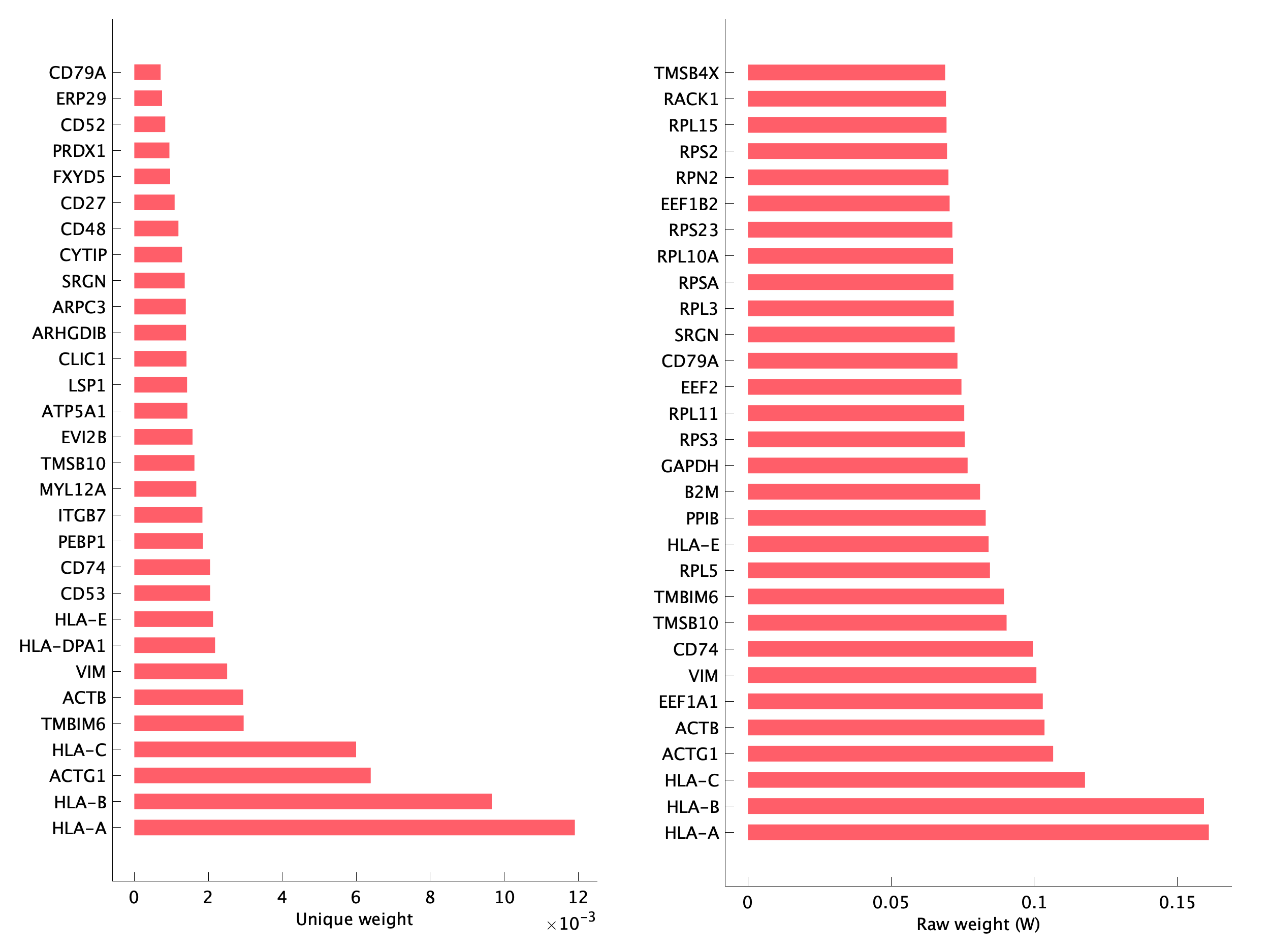 Top genes of pP04 program