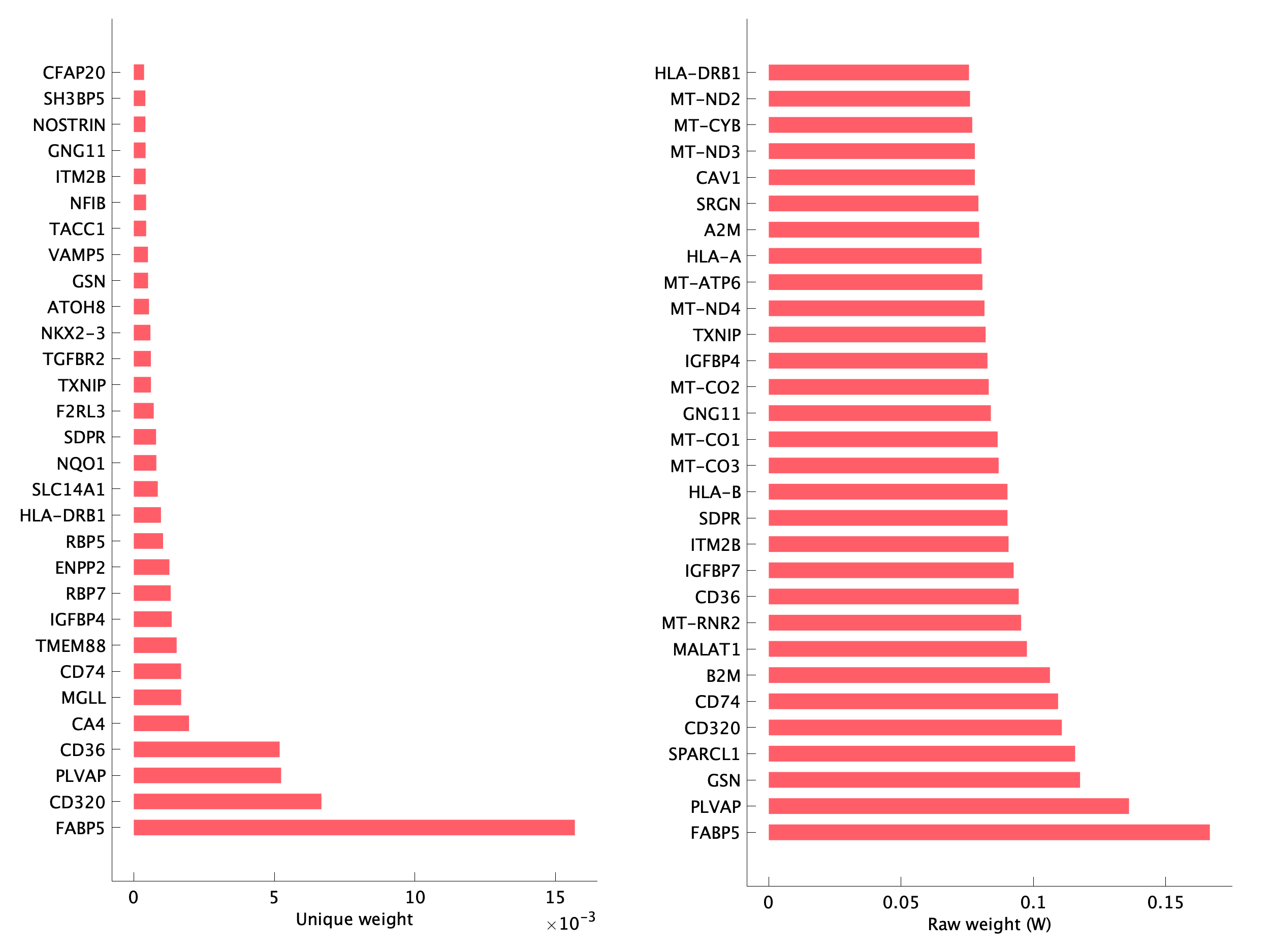 Top genes of pS19 program