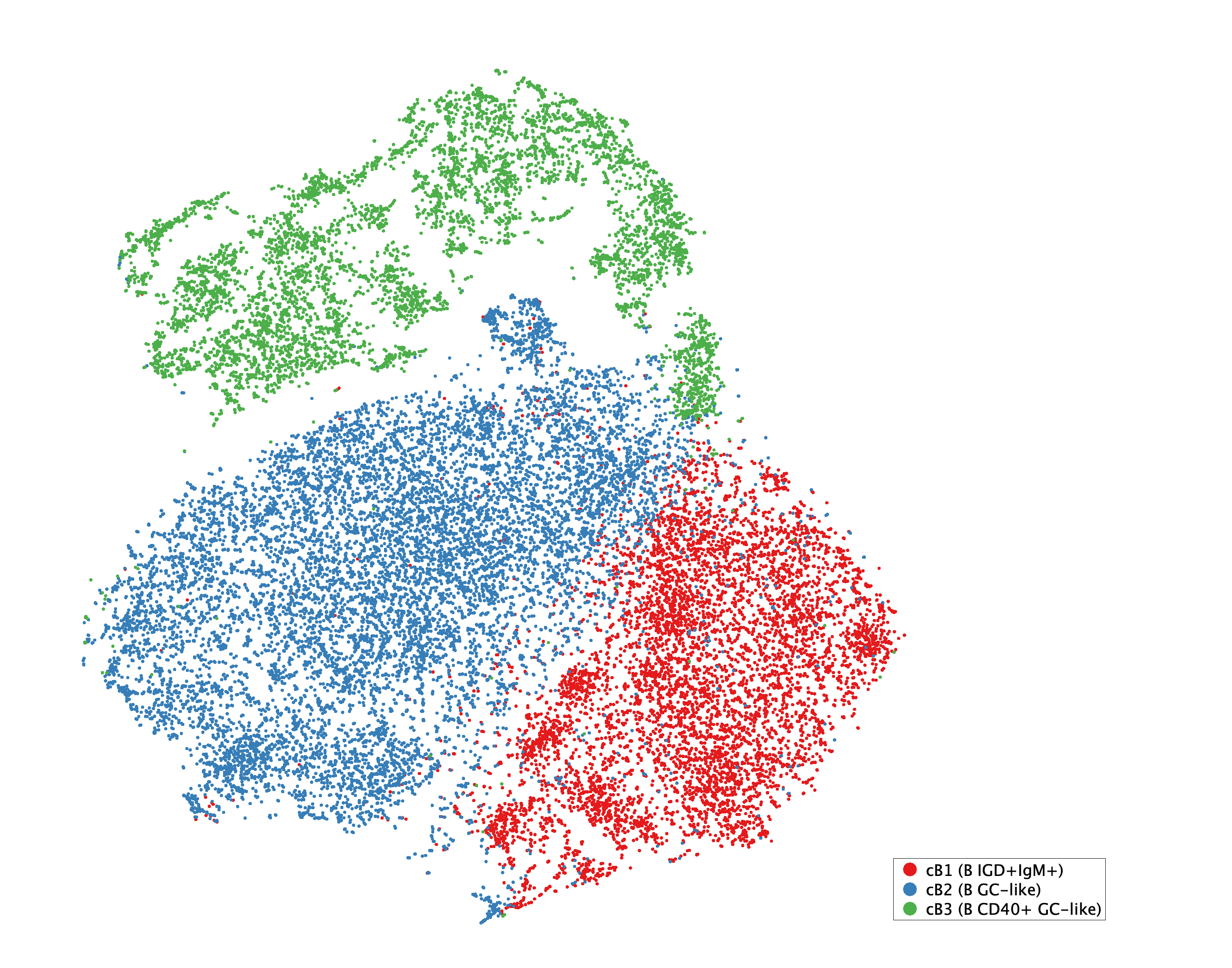 tSNE of subtypes for B