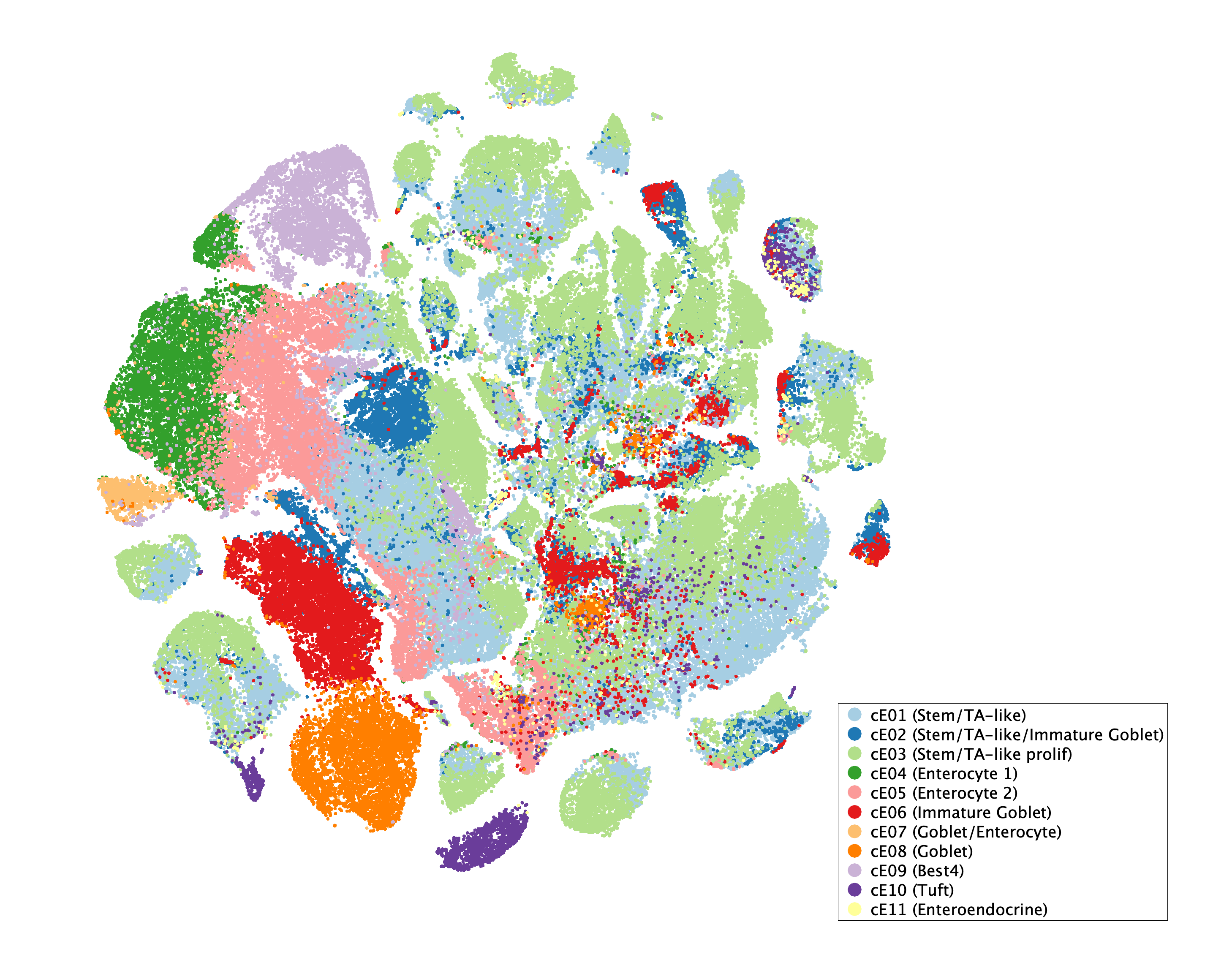 tSNE of subtypes for Epithelial