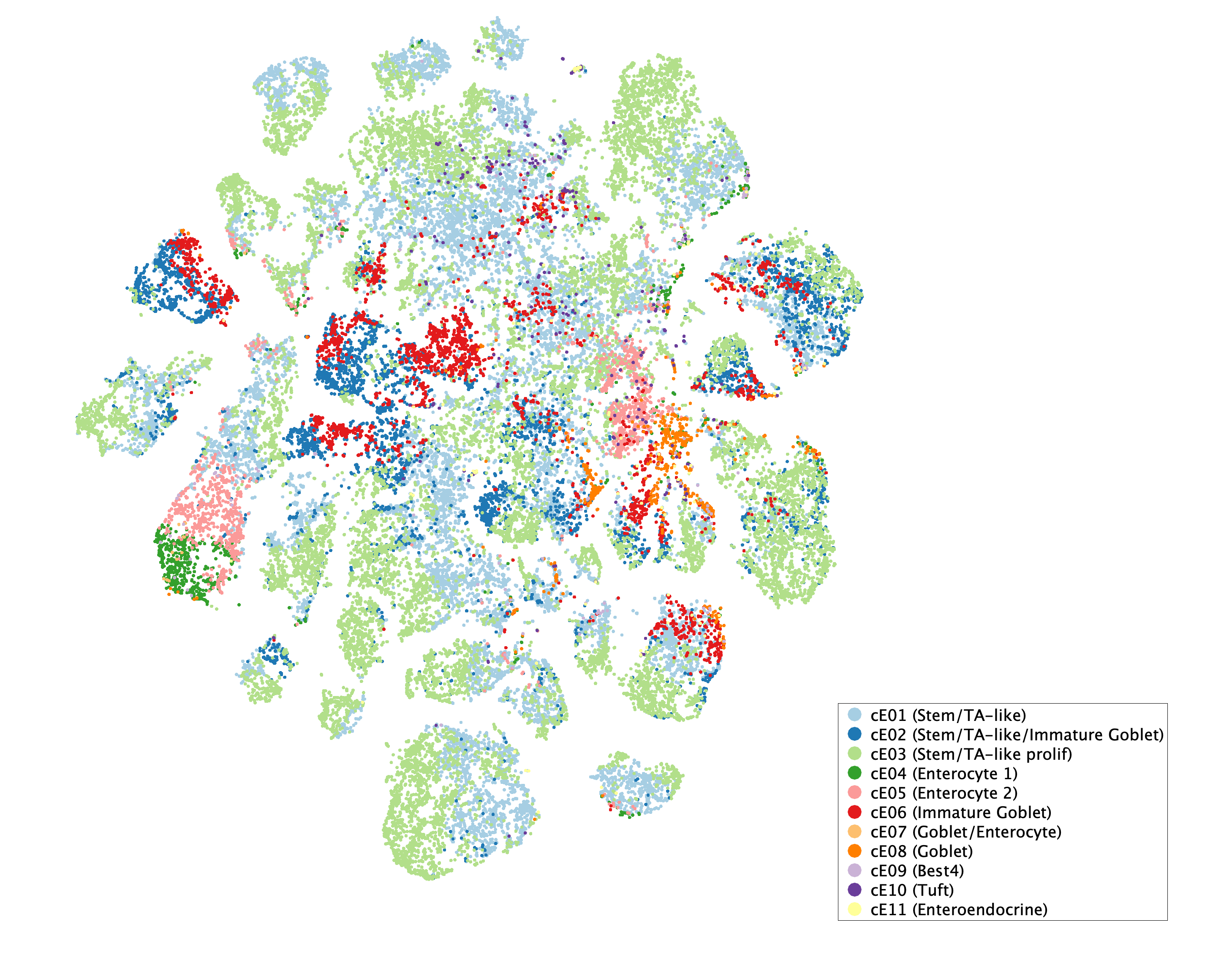 tSNE of subtypes for Epithelial