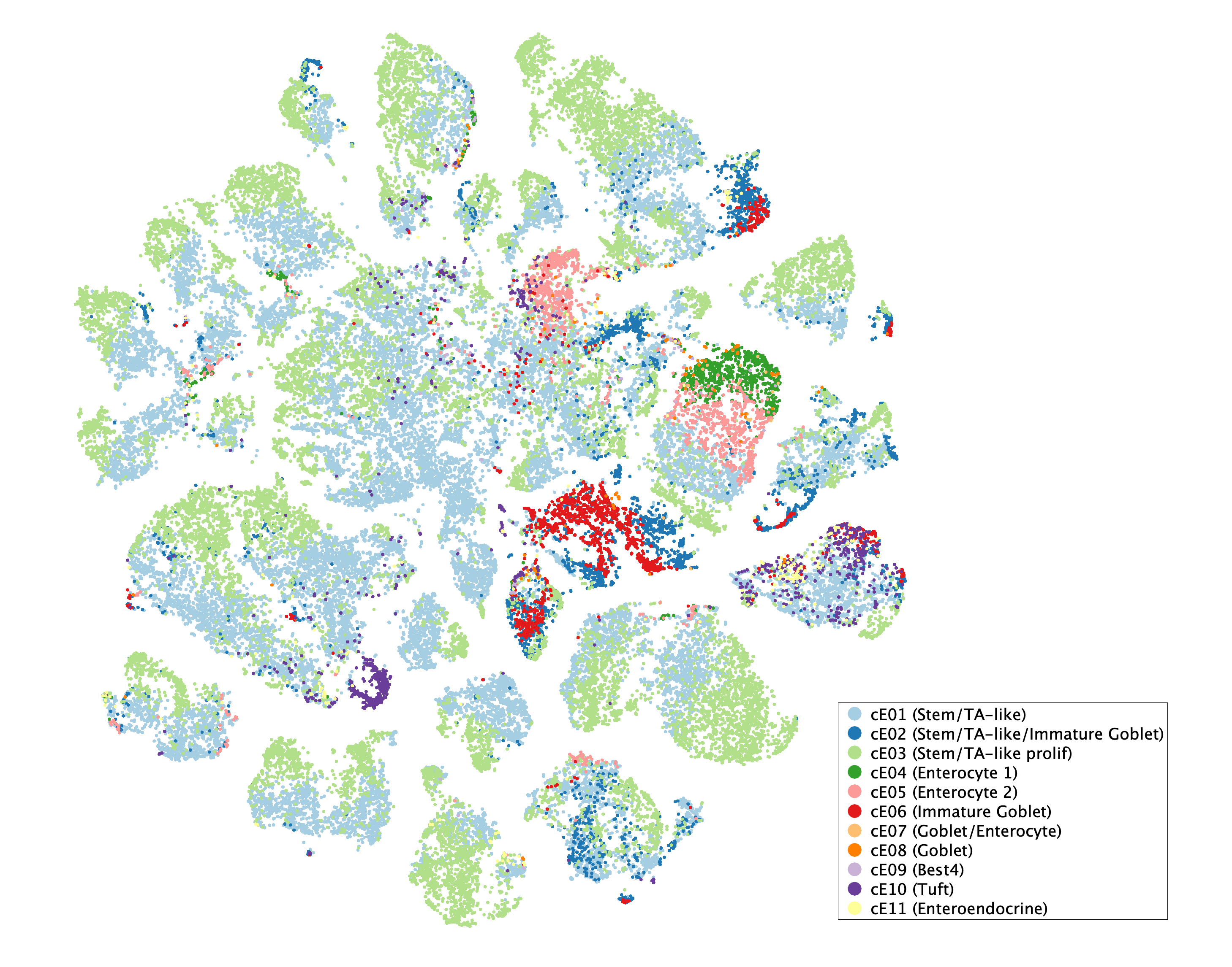 tSNE of subtypes for Epithelial