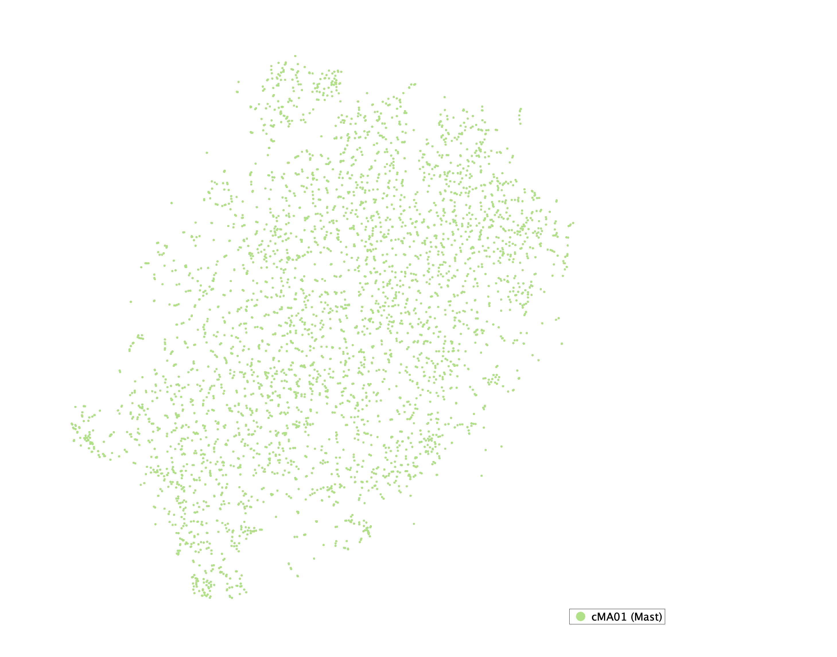 tSNE of subtypes for Mast