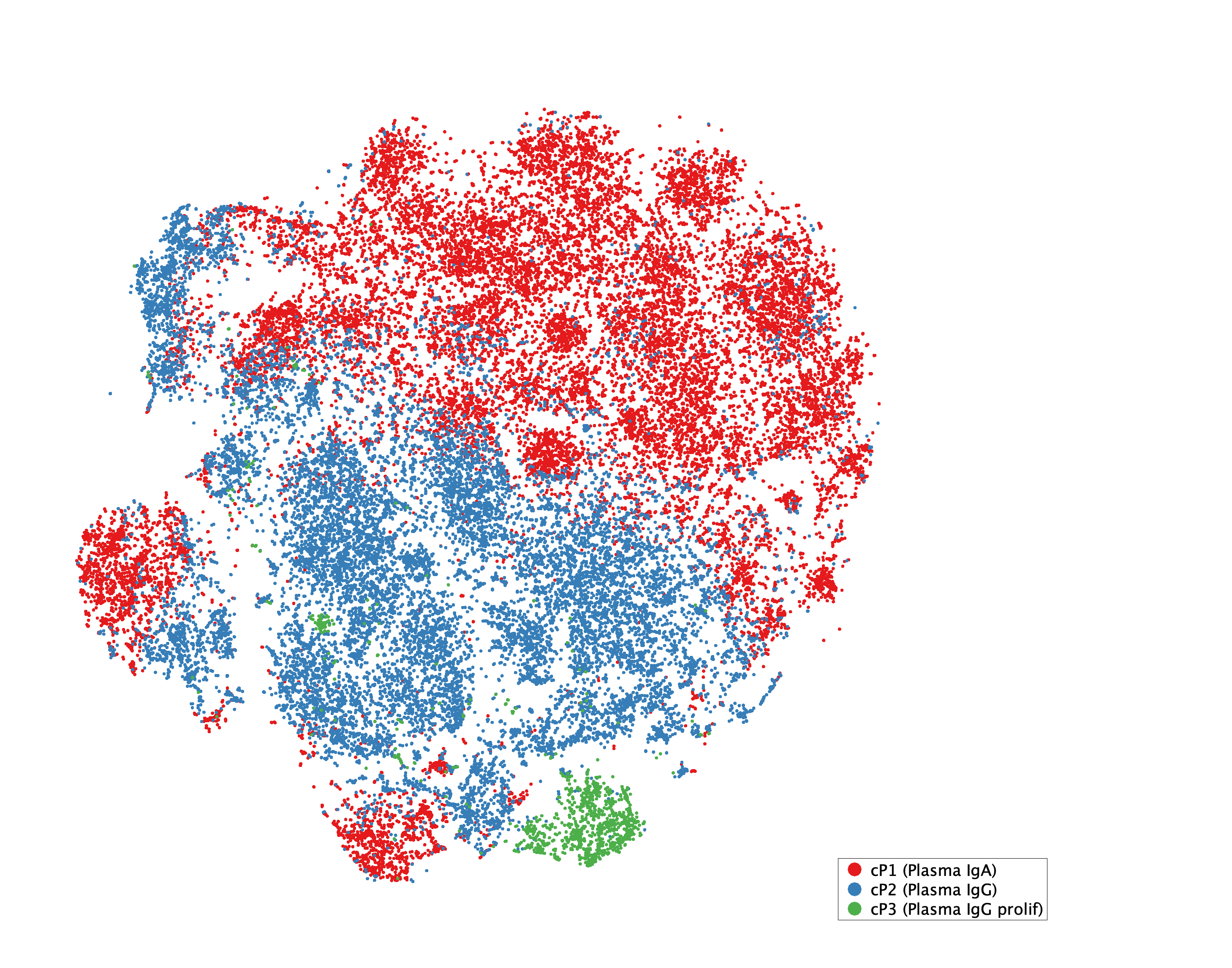 tSNE of subtypes for Plasma