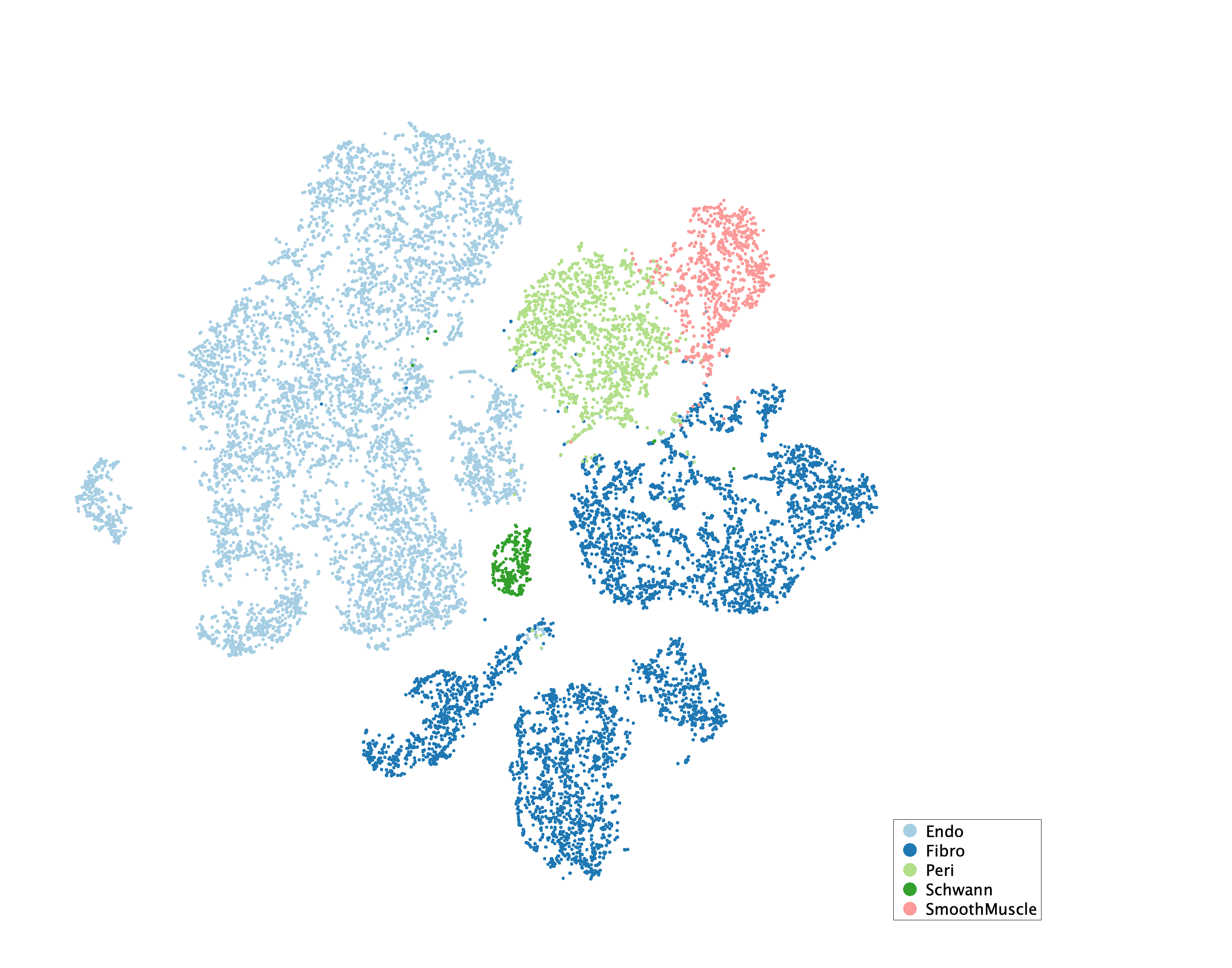 tSNE of subtypes for Stromal