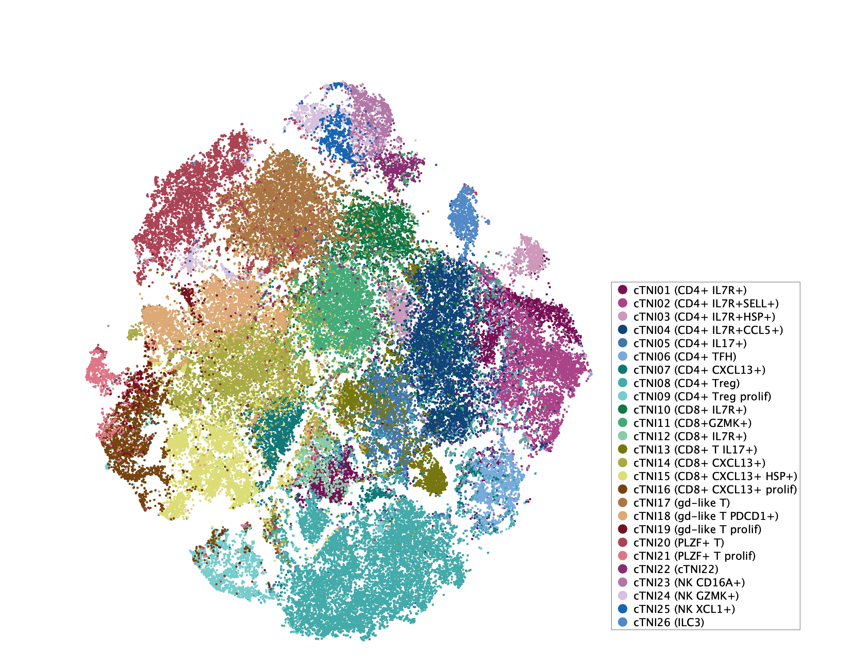 tSNE of subtypes for T/NK/ILC