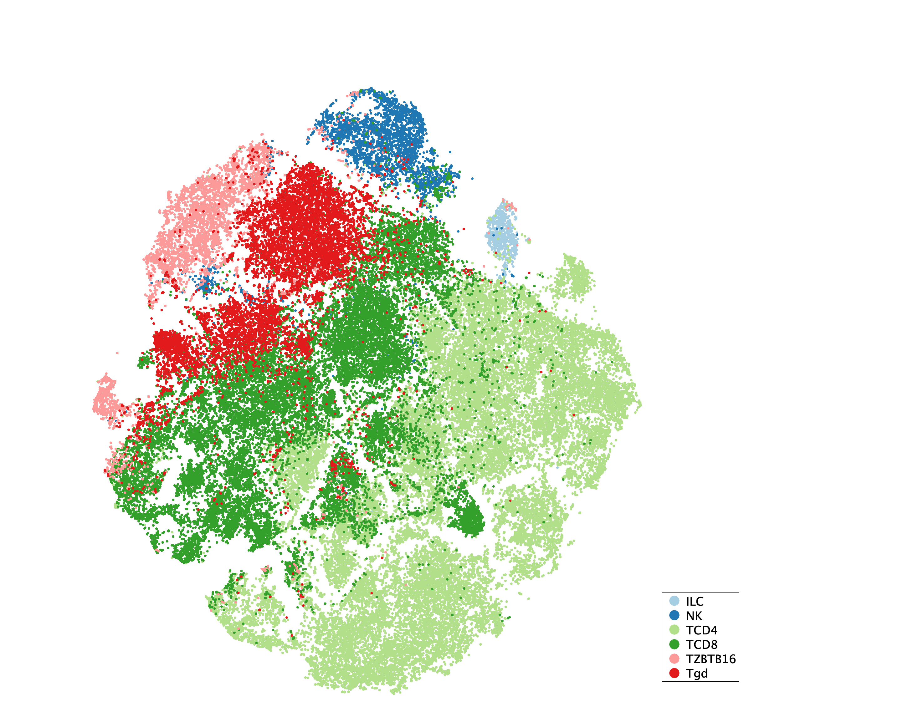 tSNE of subtypes for T/NK/ILC