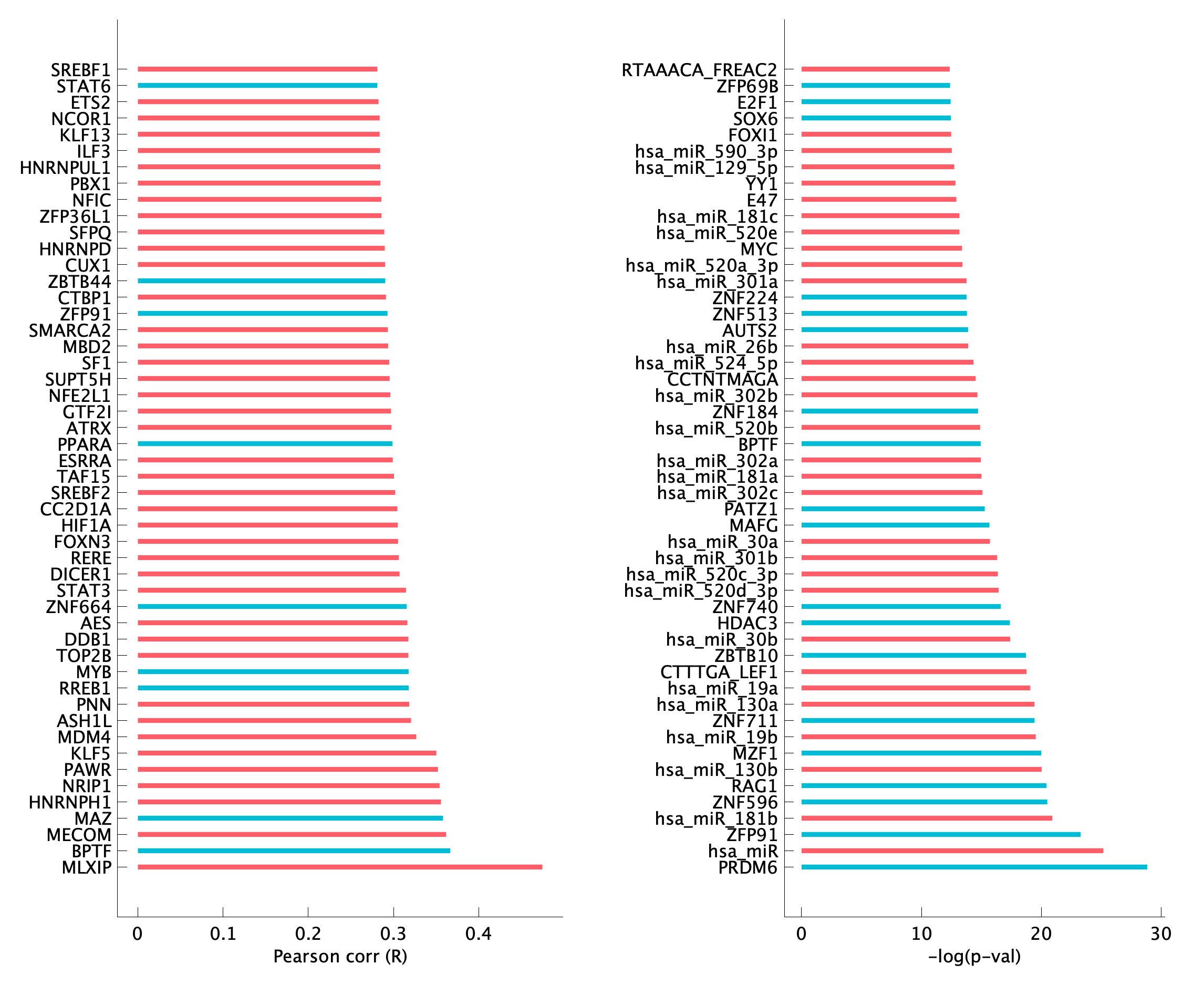 TF enrichment of pEpi11