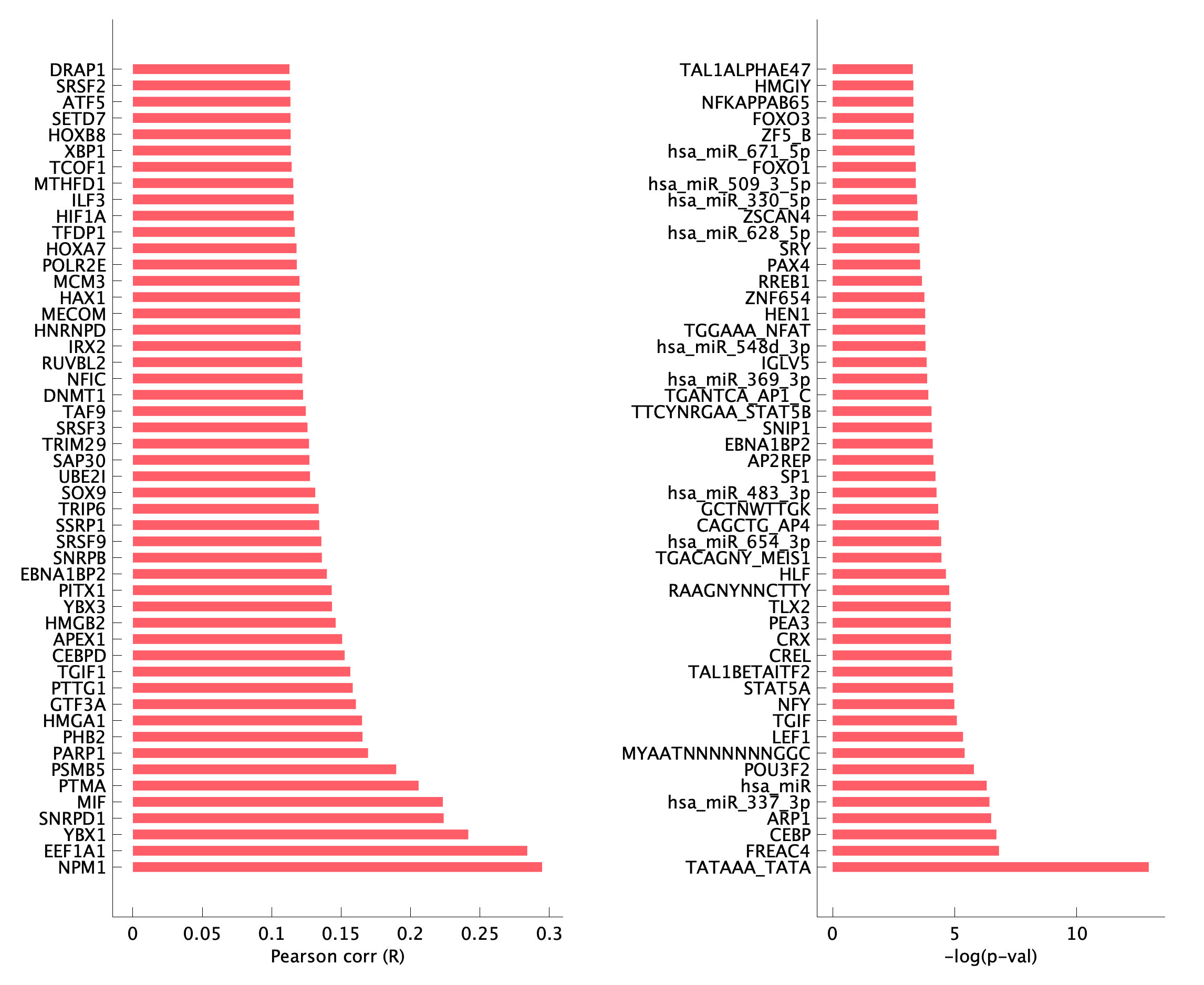 TF enrichment of pEpi14