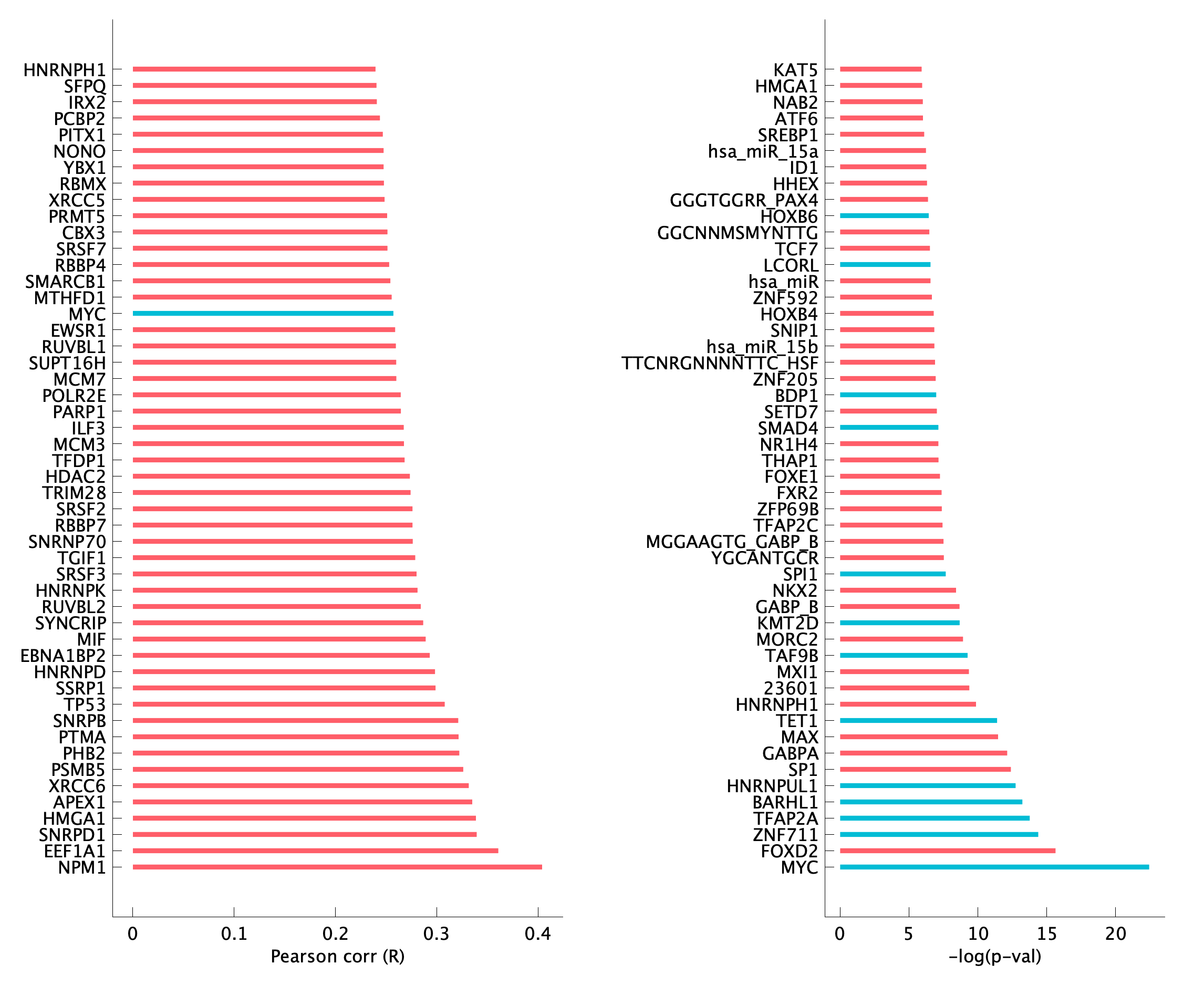 TF enrichment of pEpi23