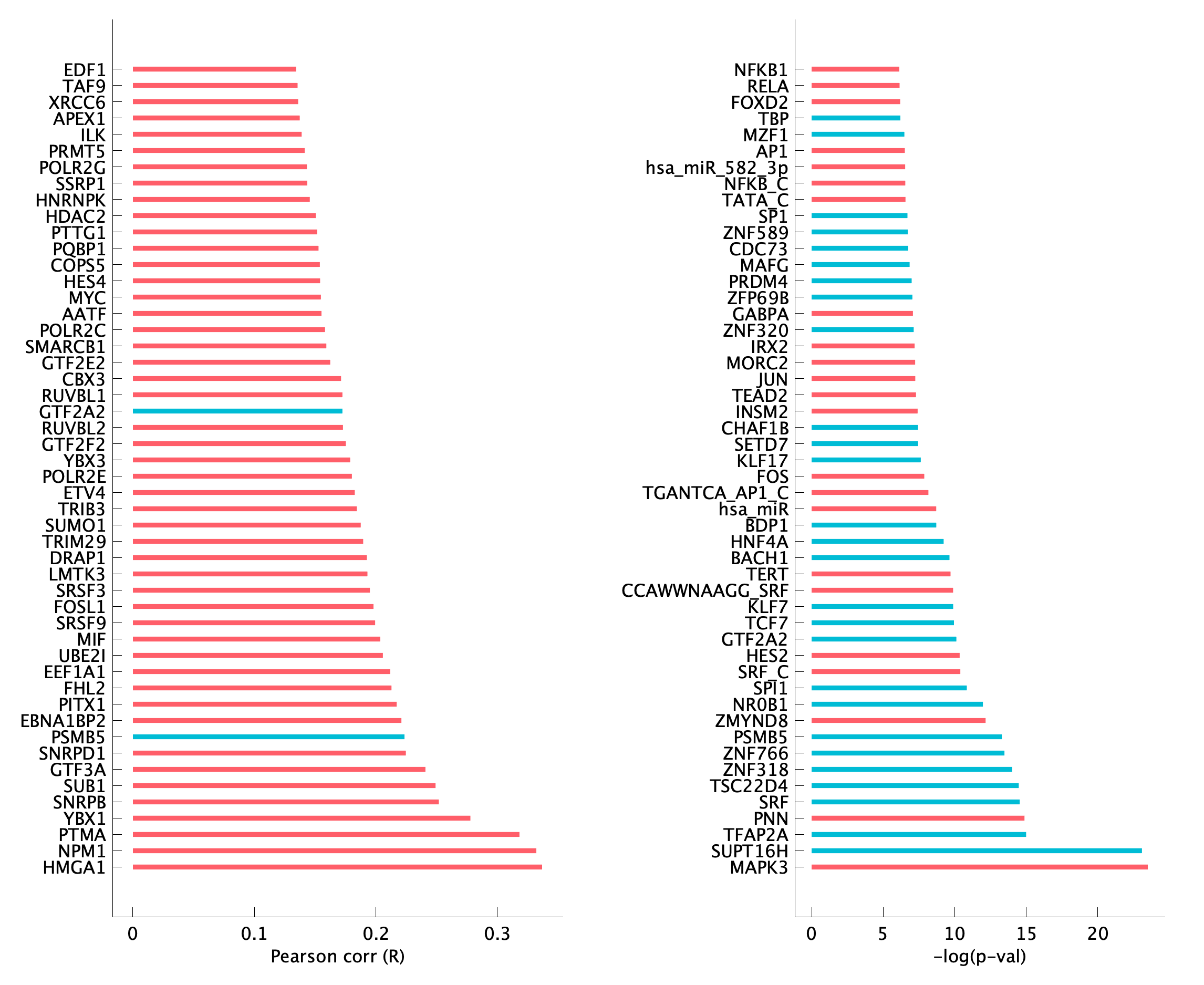 TF enrichment of pEpi36