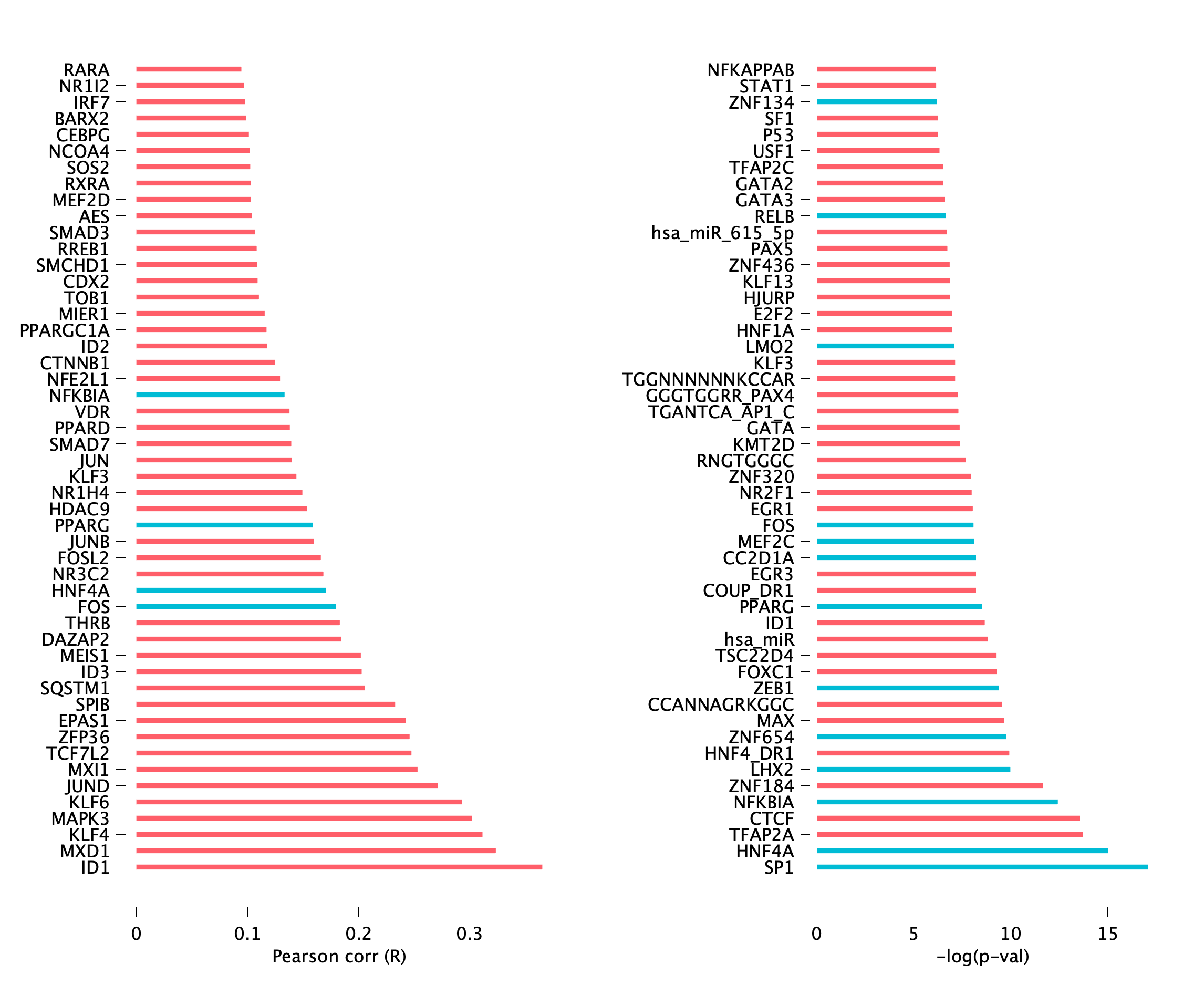 TF enrichment of pEpi40